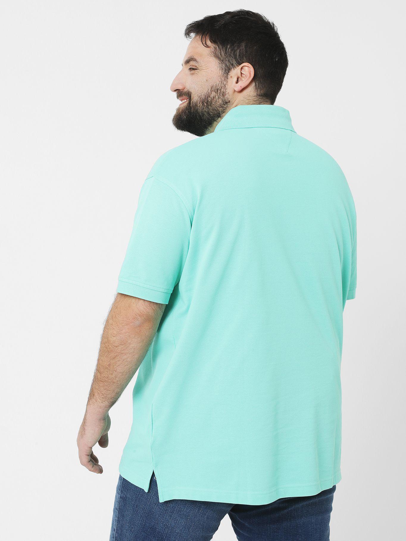 Polo Plus 1985 Regular Fit Verde Tommy Hilfiger-1