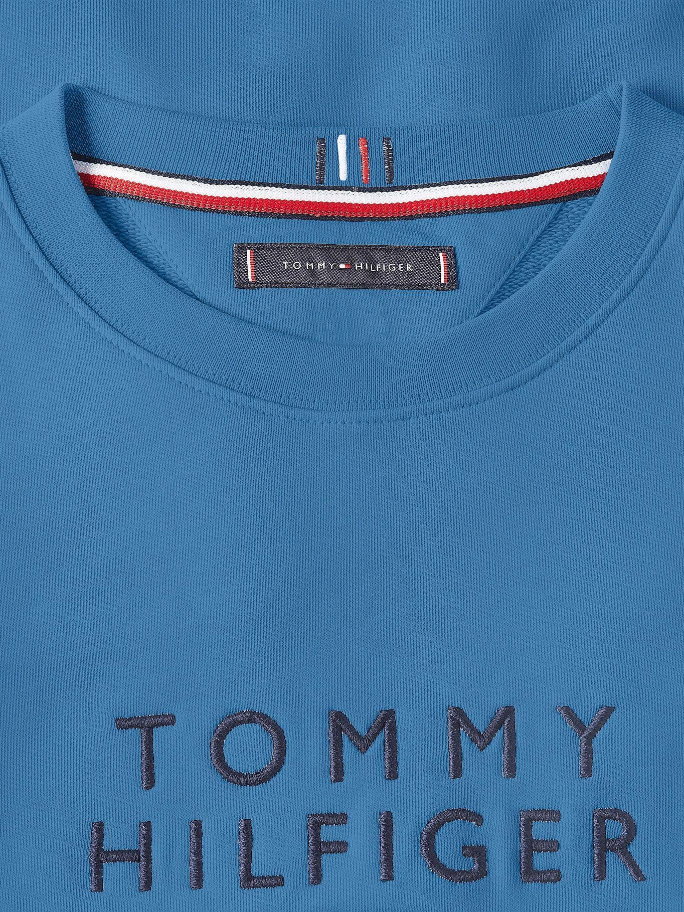 Polerón Essential Flag Azul Tommy Hilfiger F2-3