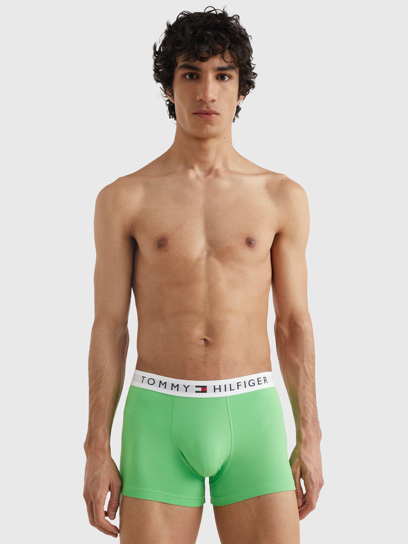 Trunk Solid Con Logo En La Cintura Verde Tommy Hilfiger-2
