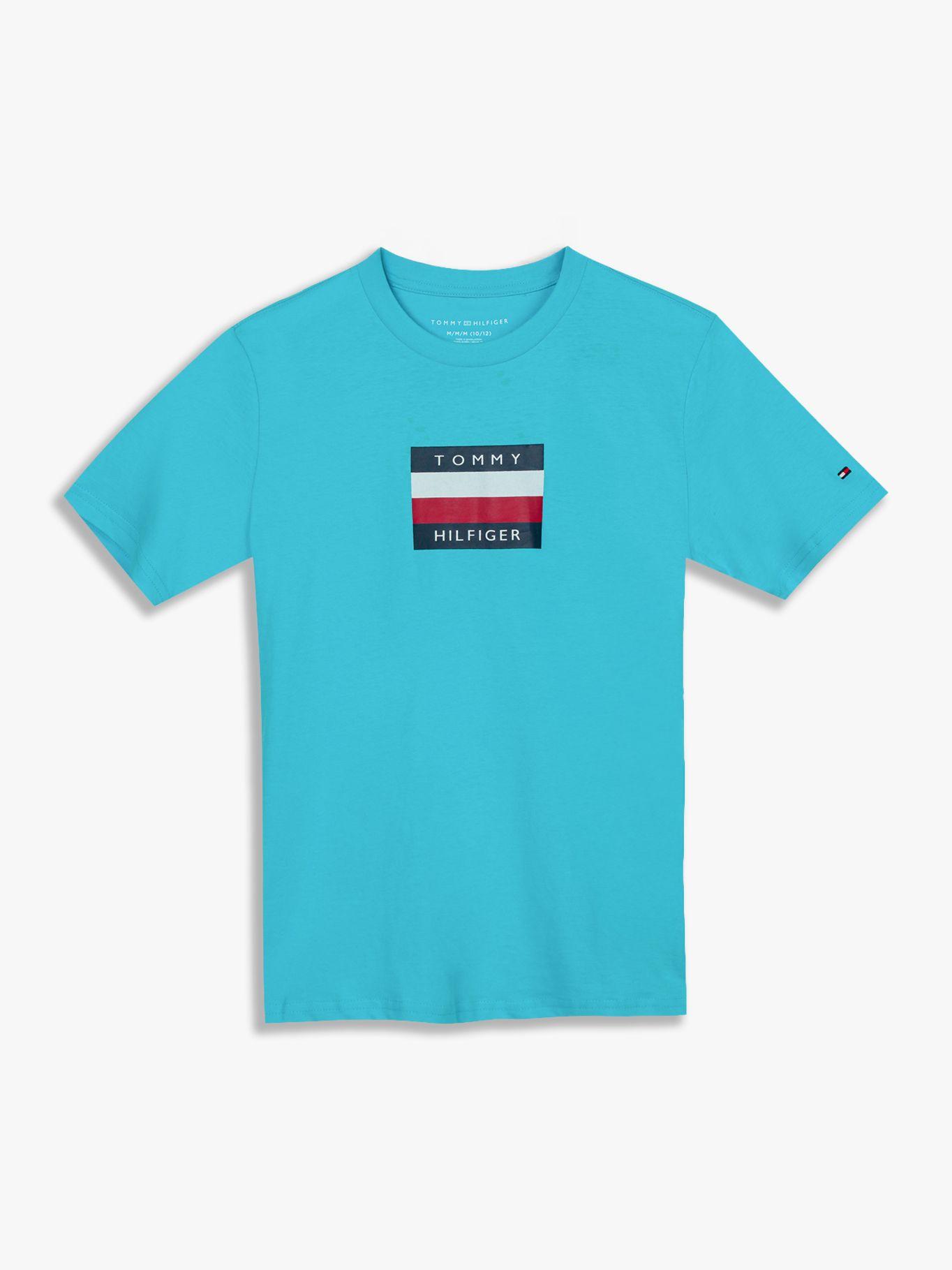Polera De Niño - Logo Signature Celeste Tommy Hilfiger-0