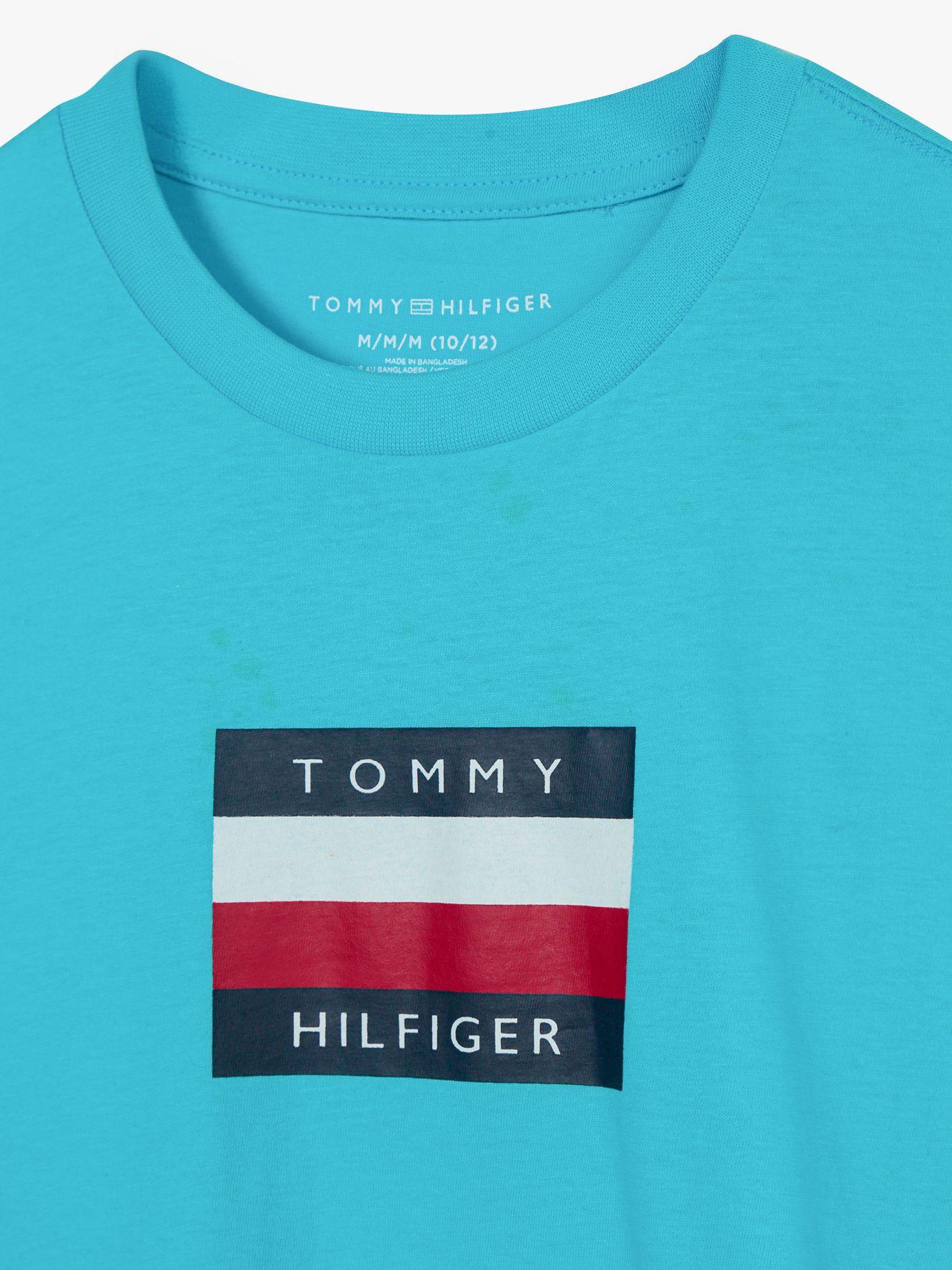 Polera De Niño - Logo Signature Celeste Tommy Hilfiger-2