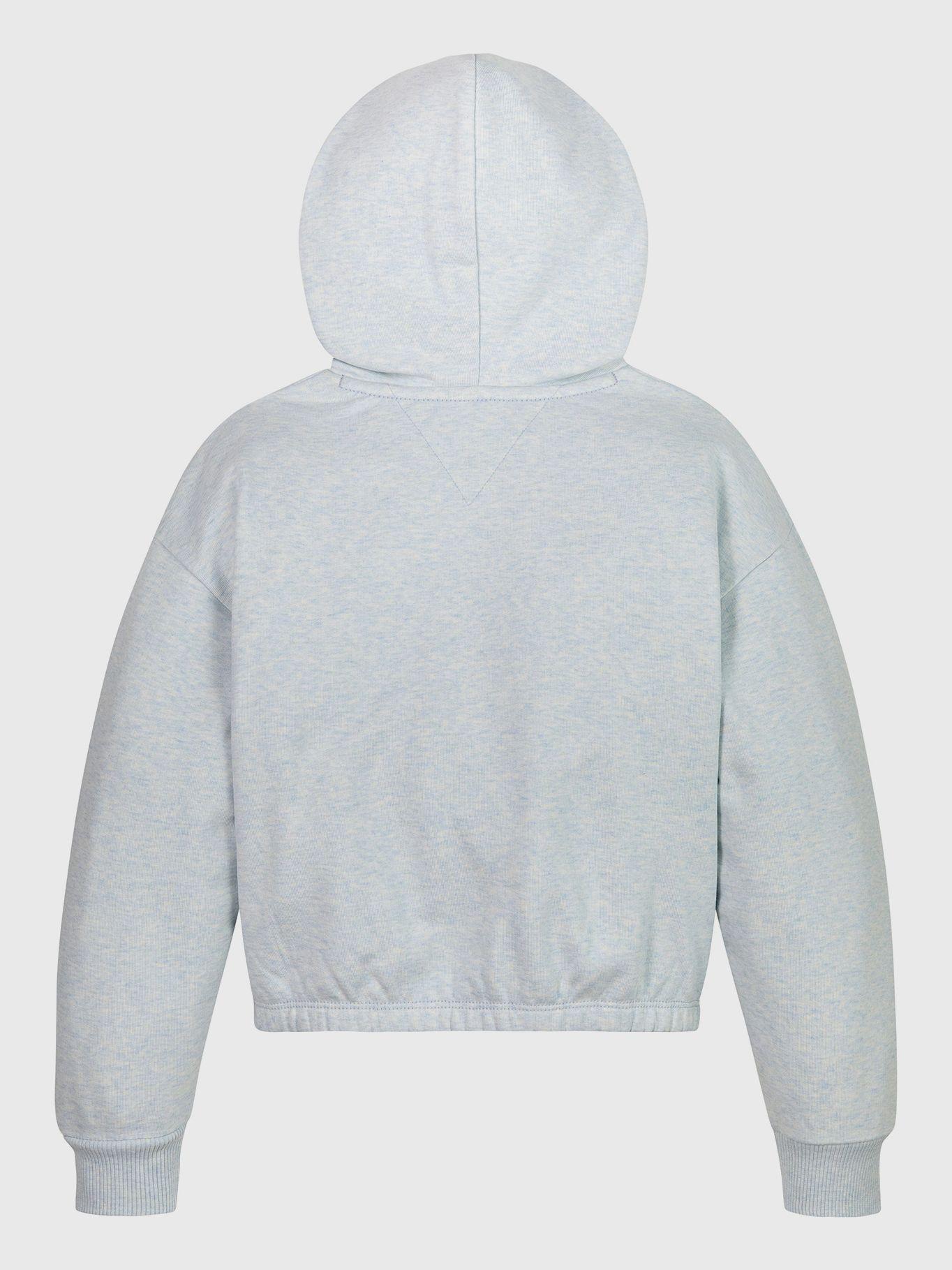 Polerón Hoodie Varsity Relaxed Azul Tommy Hilfiger-1