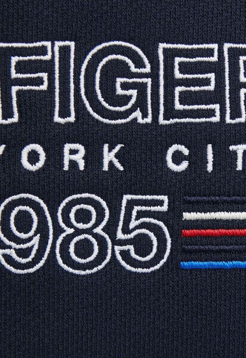 Polerón Con Logo Sport Azul Tommy Hilfiger-4