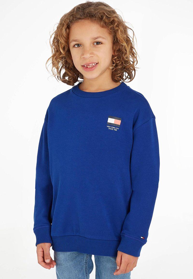 Polerón Multi Flag Logo Azul Tommy Hilfiger-0