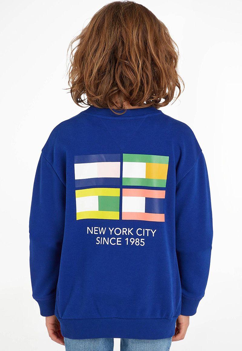 Polerón Multi Flag Logo Azul Tommy Hilfiger-1