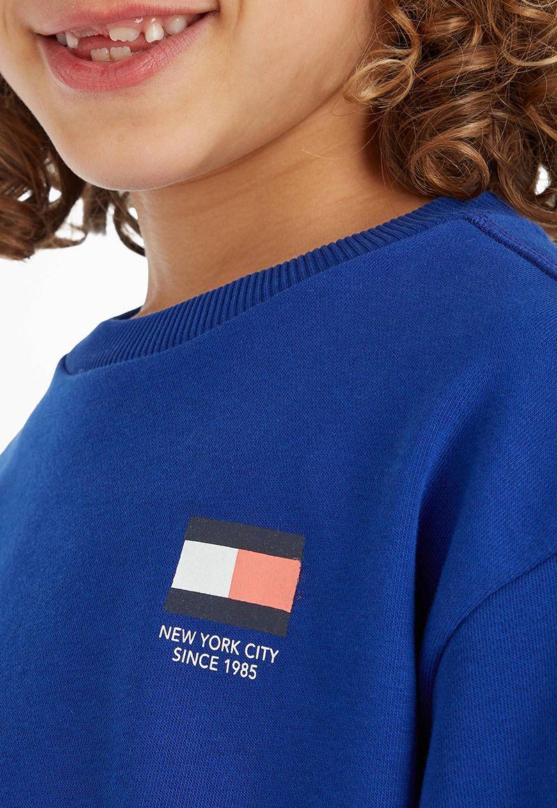 Polerón Multi Flag Logo Azul Tommy Hilfiger-2