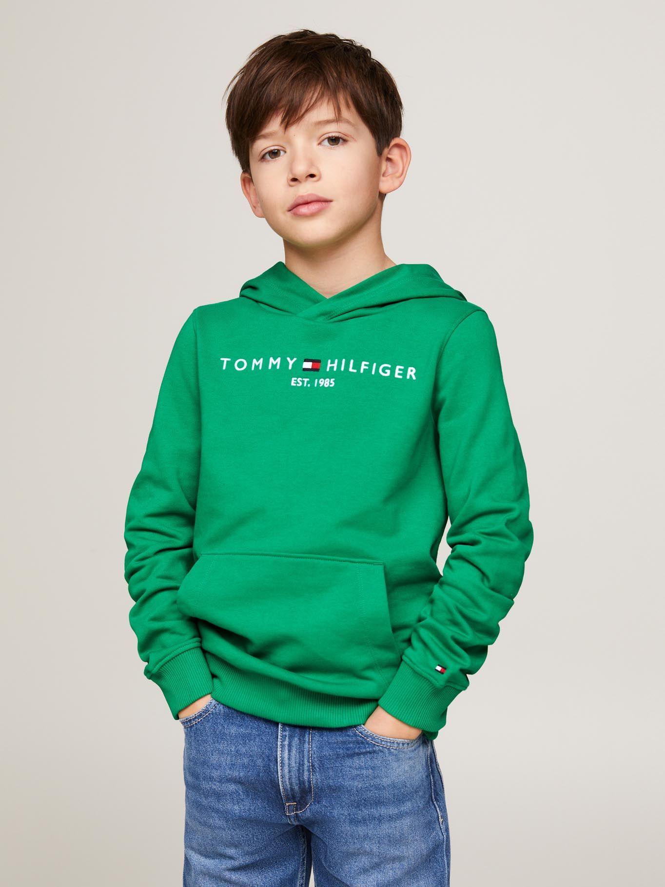 Polerón Con Logo Hoodie Essential Verde Tommy Hilfiger-0