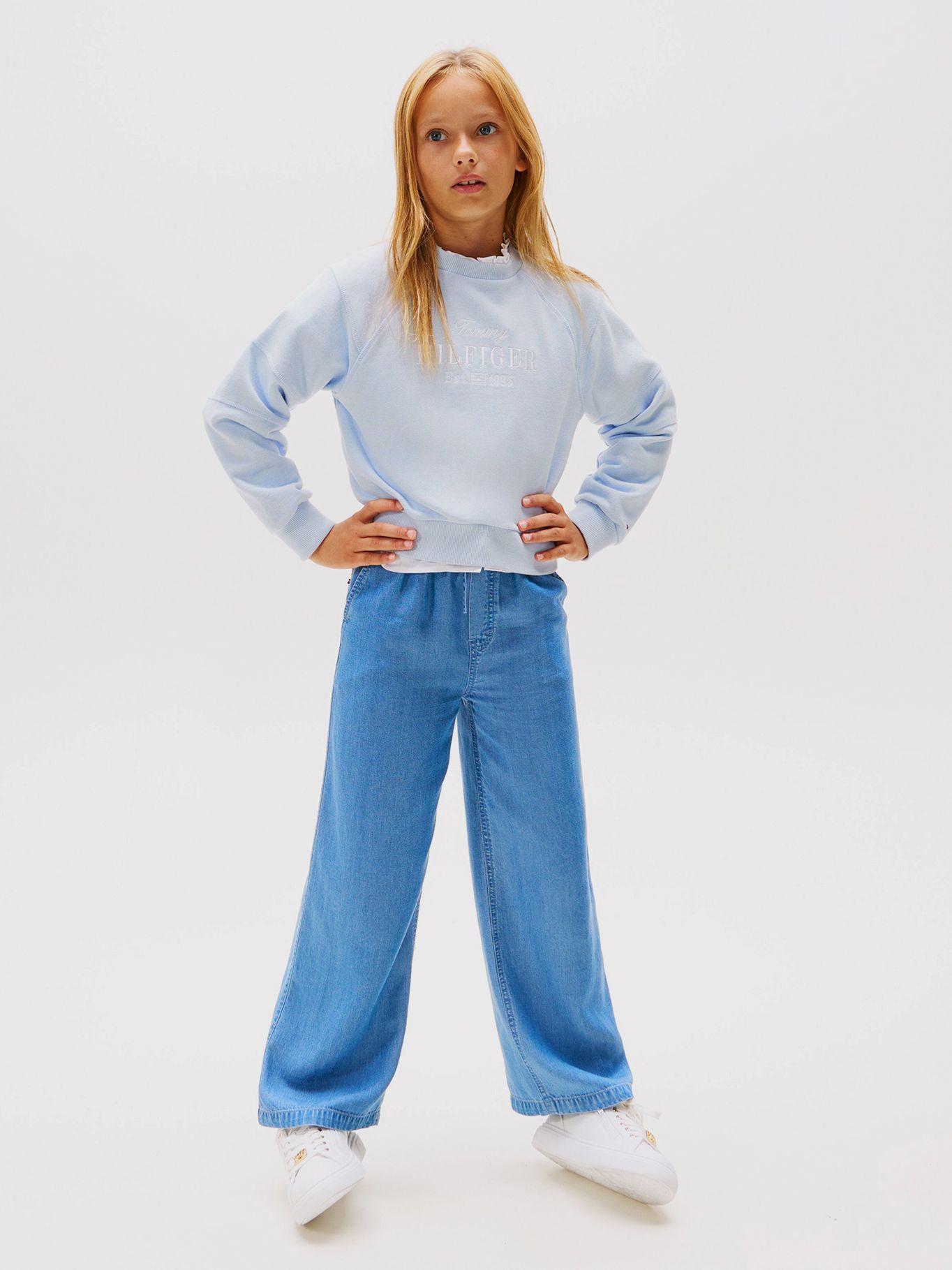 Polerón Con Logo Bordado Celeste Tommy Hilfiger-1