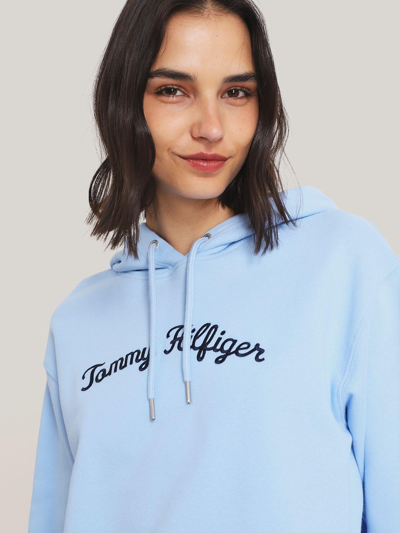 Polerón Hoodie C Logo Bordado Azul Tommy Hilfiger-3