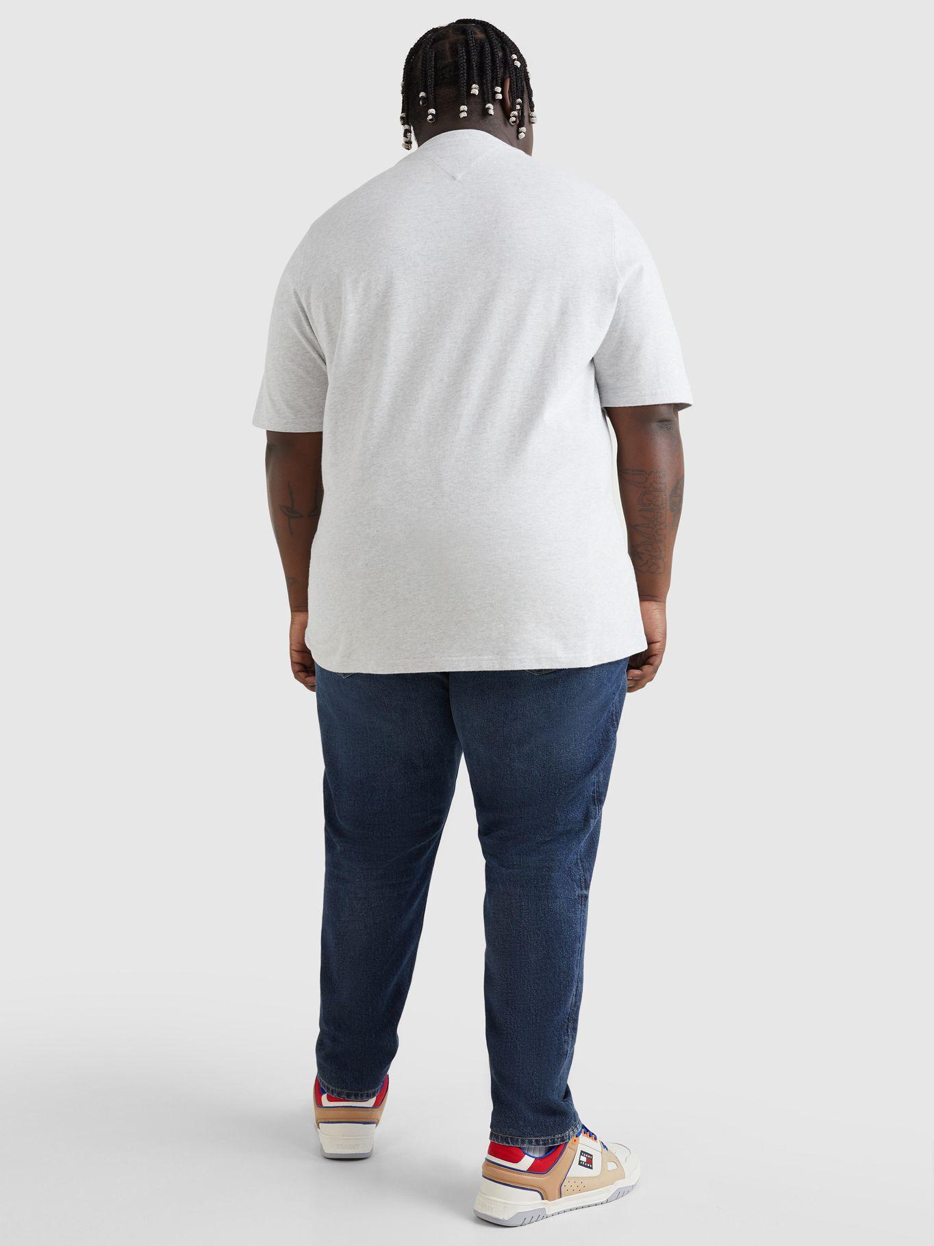 Polera Plus Classic Collegiate Logo Gris Tommy Jeans-2