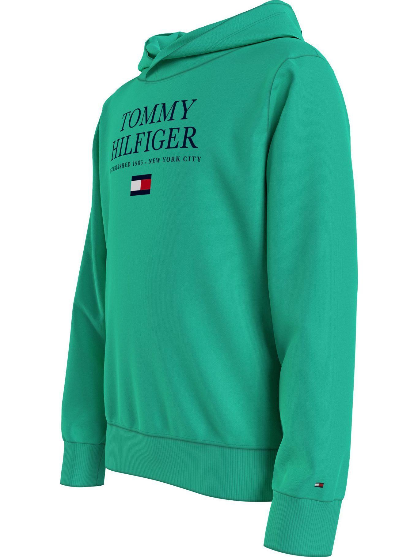 Polerón Hoodie Verde Tommy Hilfiger MY2-2