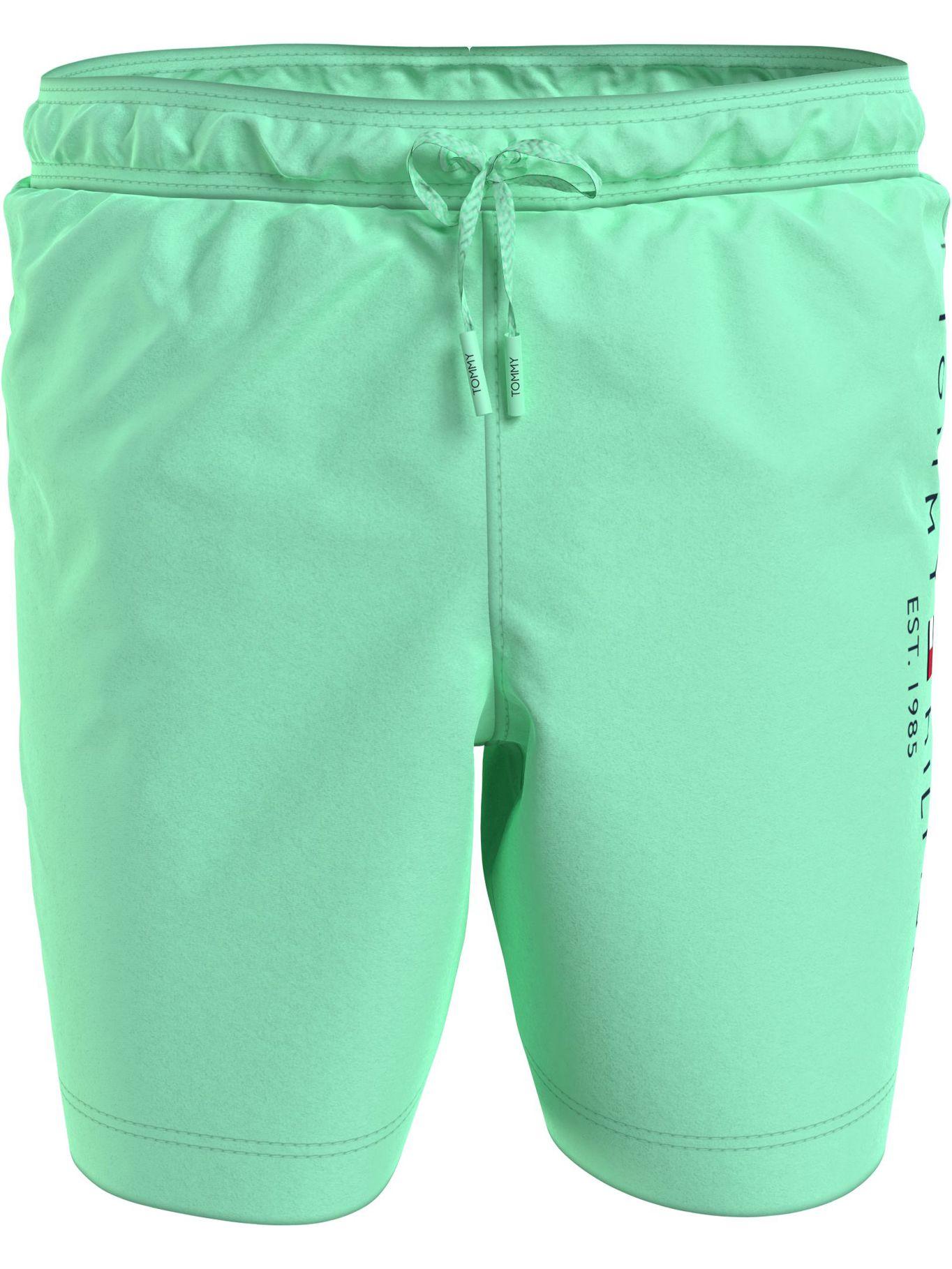 Traje De Baño Logo1985 Verde Tommy Hilfiger-0