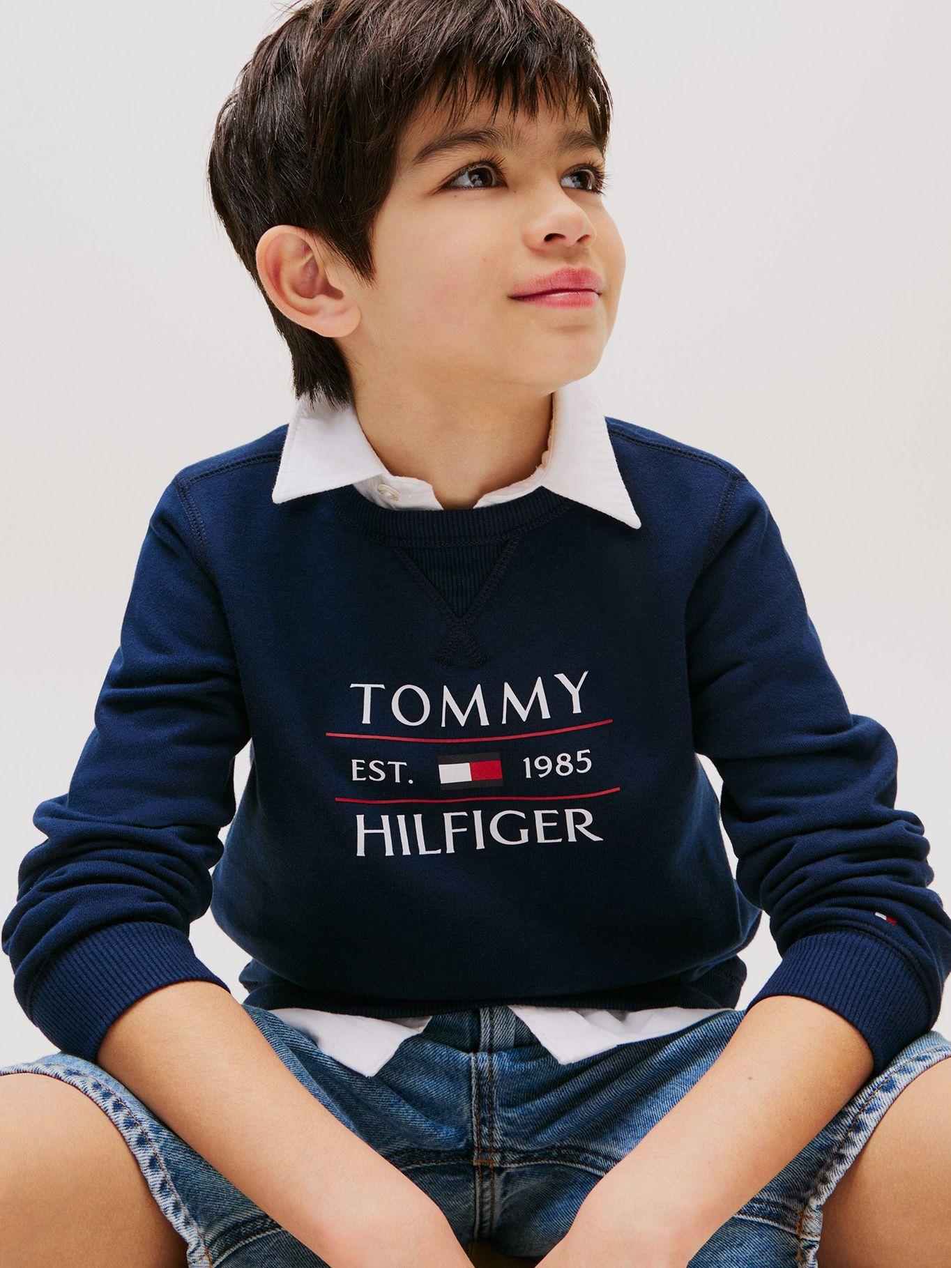 Polerón Con Logo Azul Tommy Hilfiger-3