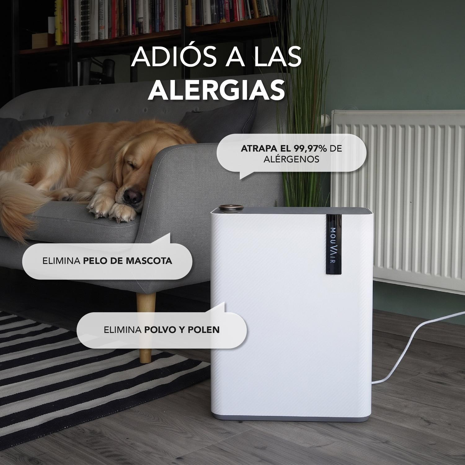 Purificador de aire Mouvair Calm + Filtro HEPA H13-7