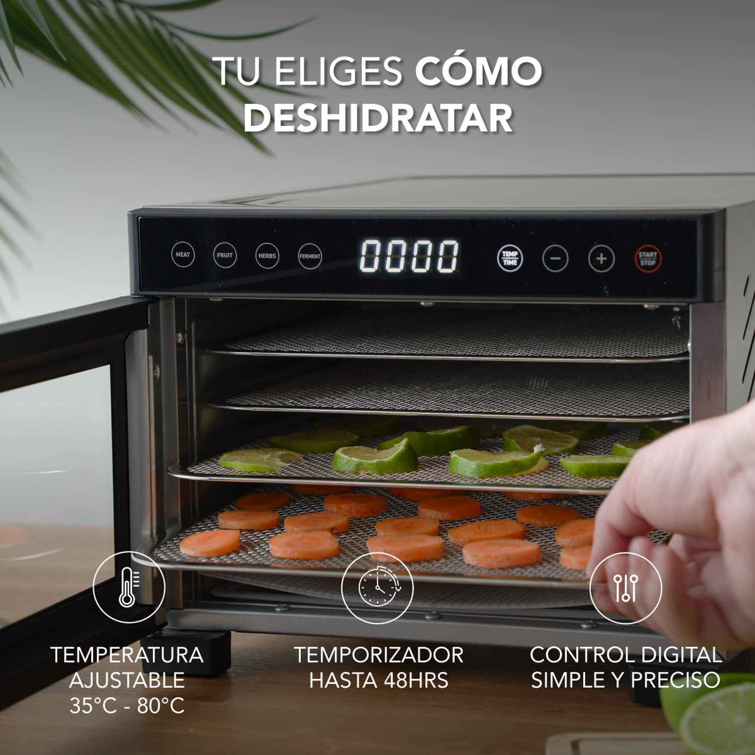 Deshidratador de Alimentos Mouvair Dry-5