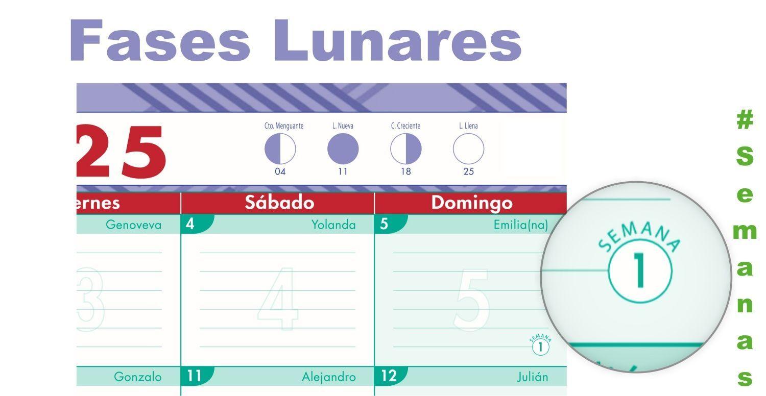 Planner Calendario Agenda Mensual De Escritorio Trabajo-3