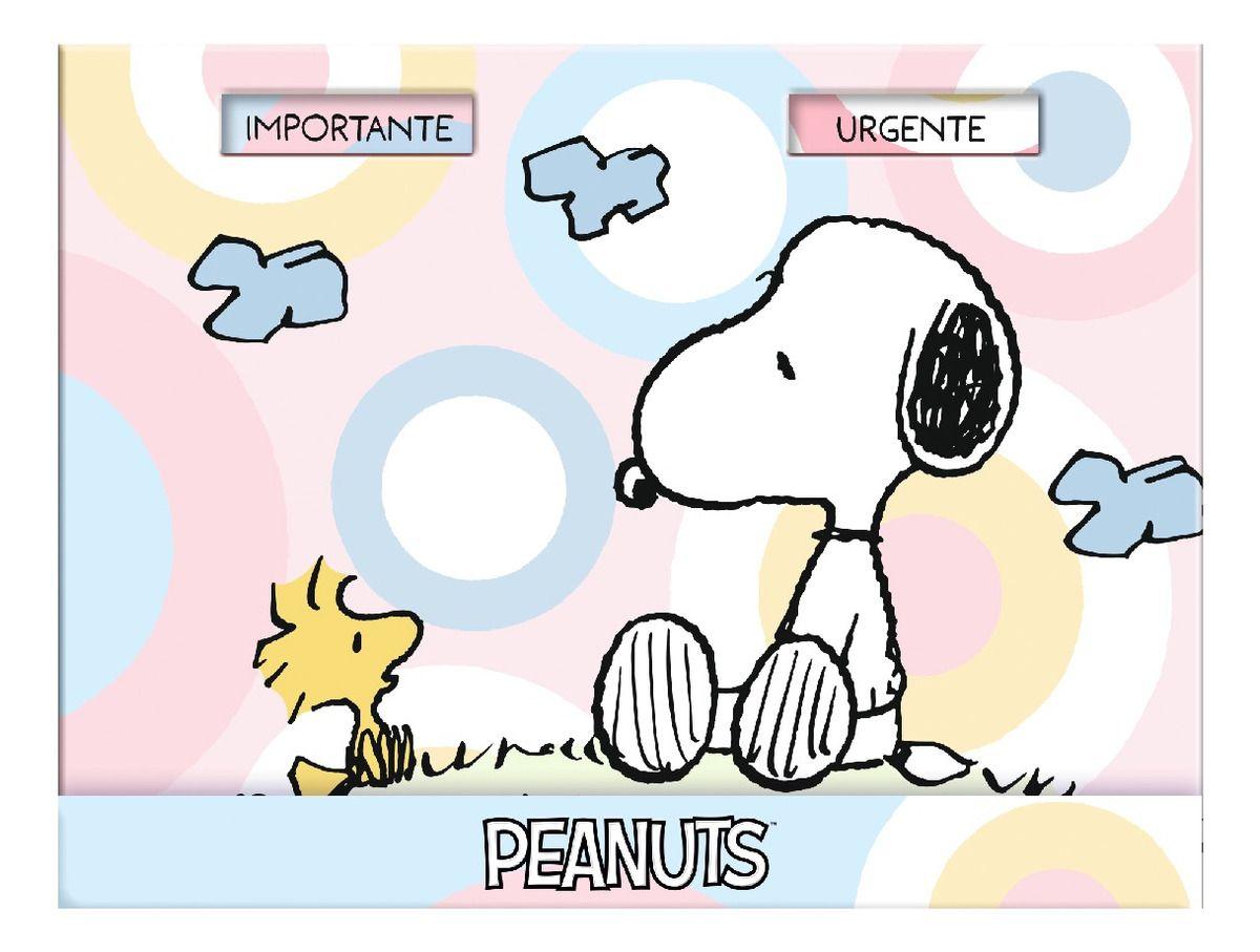 Caja Lujo Nota Adh Importante / Urgente FULLPAS COLOR SNOOPY-2