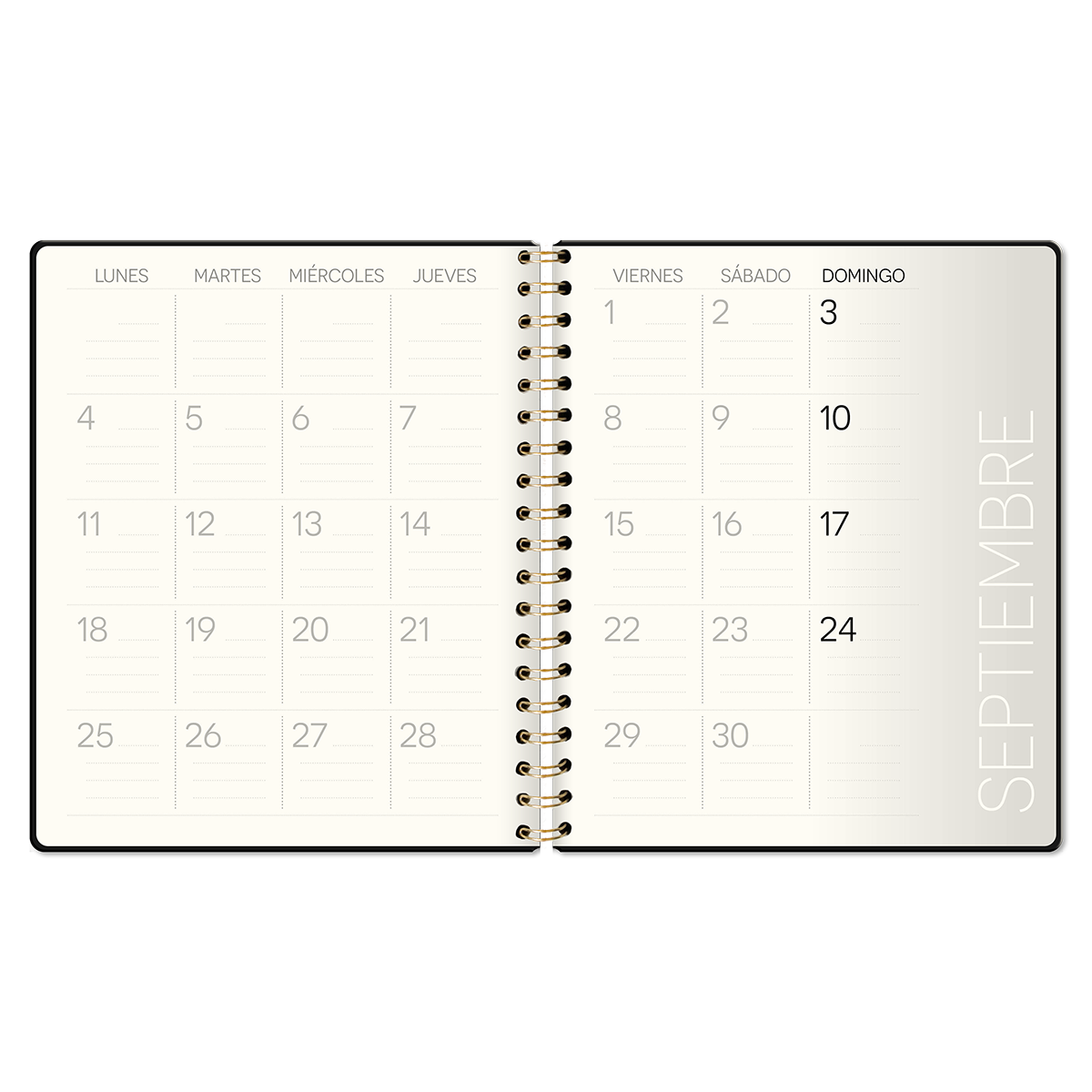 Agenda Blue Cover Espiral Dia x Pag 2024-3