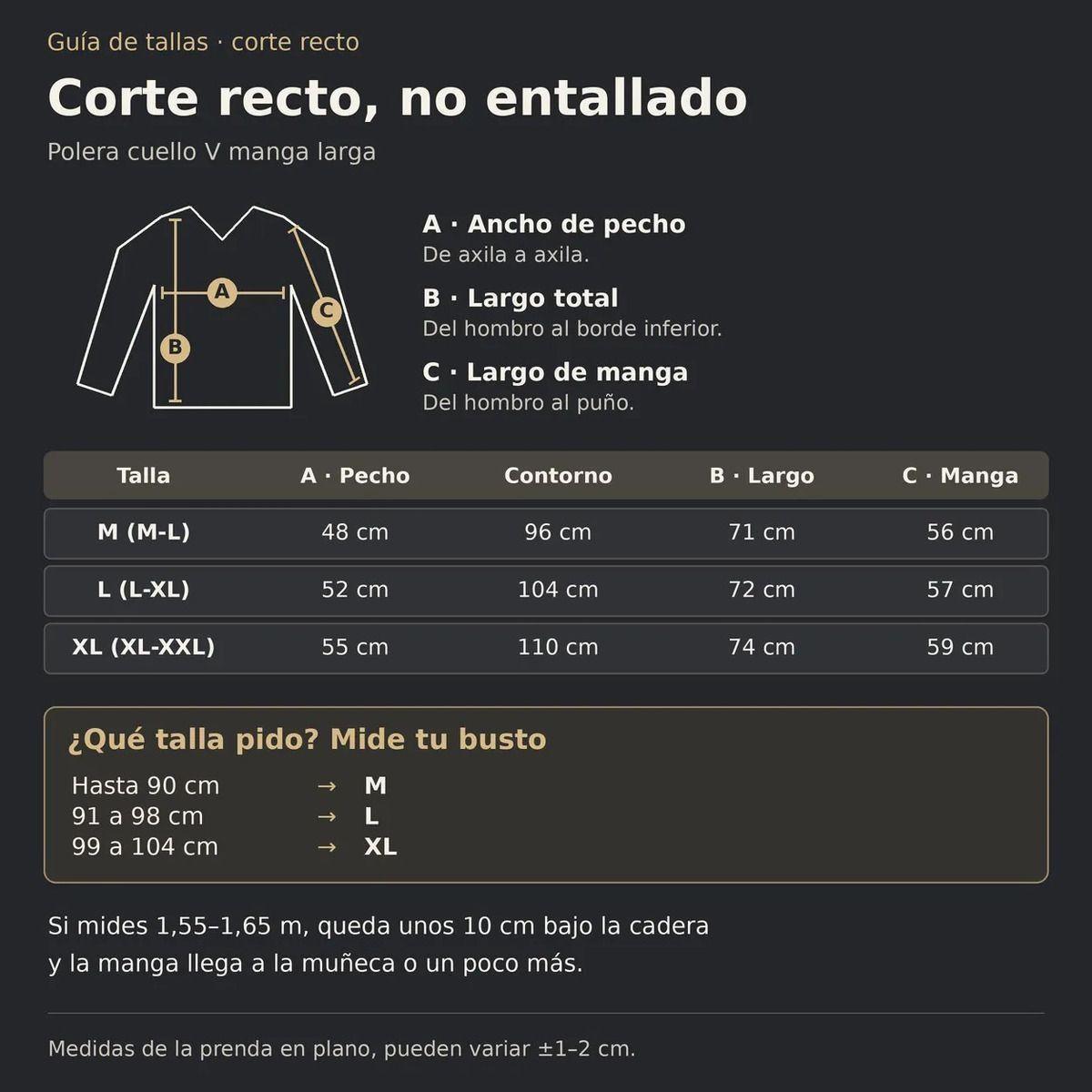 Polera Manga Larga Mujer Cuello V 200g Corte Holgado Basica-2