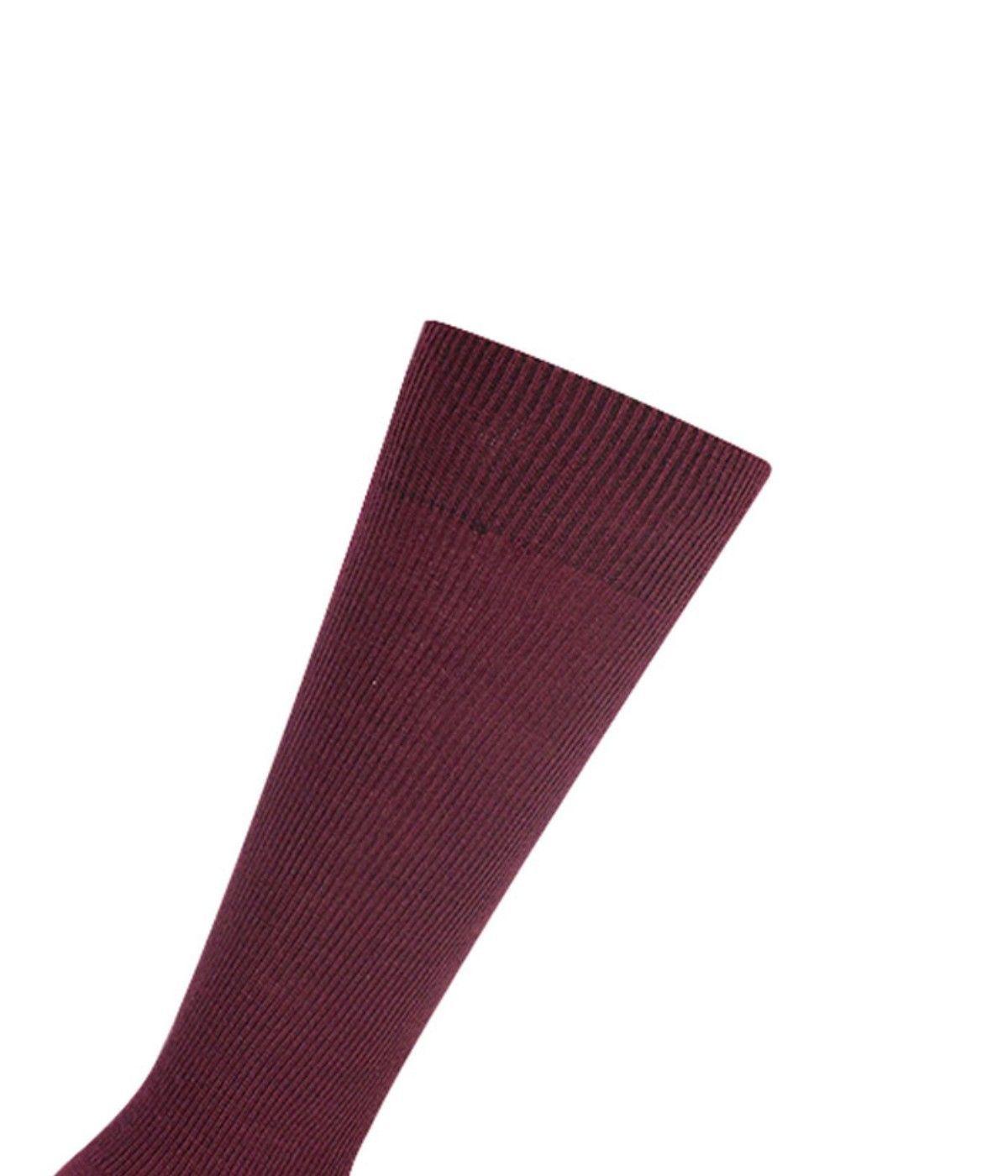 CALCETA DRALON ESCOLAR BURDEO-2
