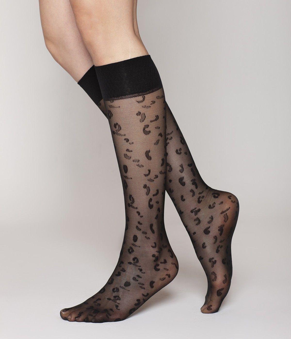 Minimedia Animal Lasst-2