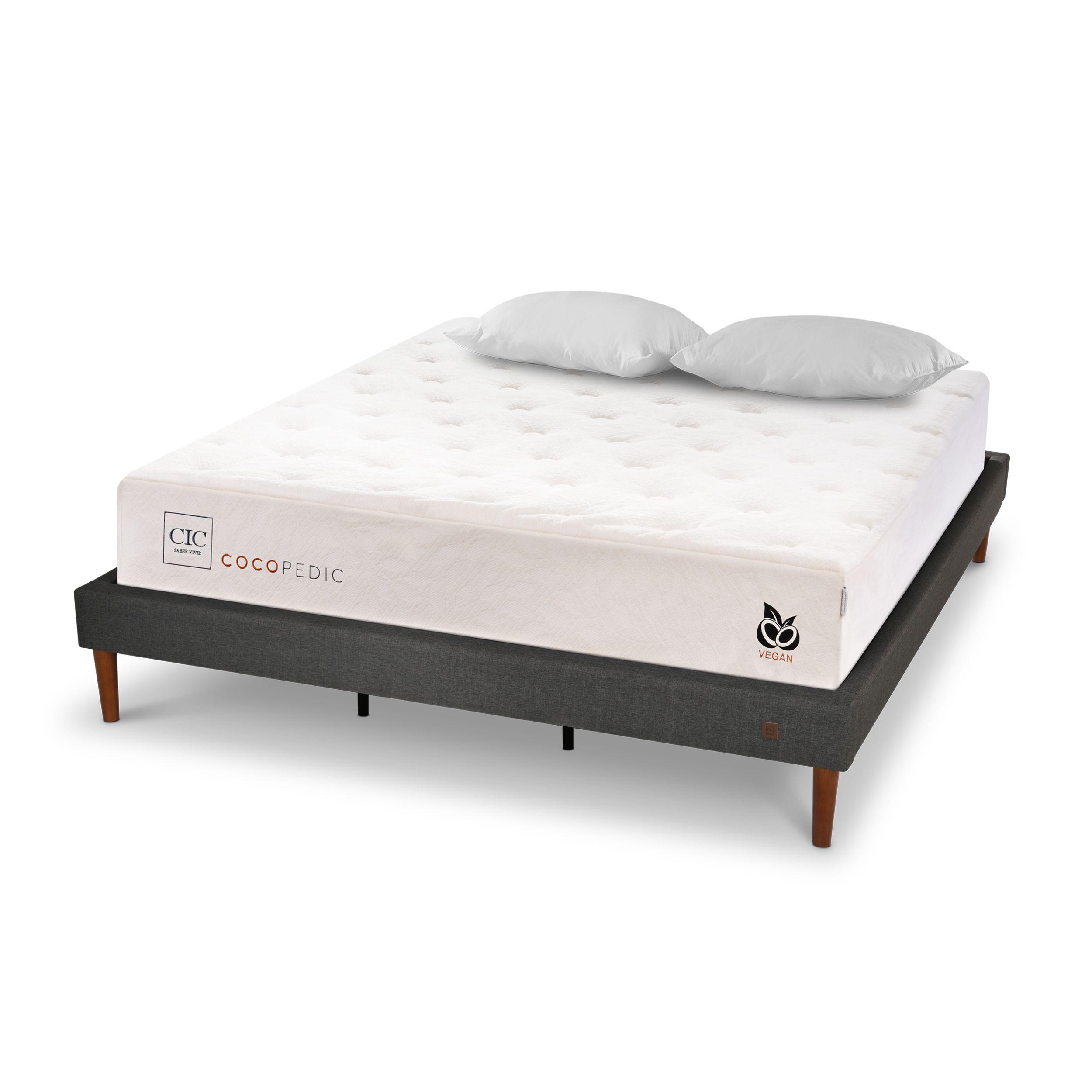 CAMA EUROPEA CURVE COCOPEDIC KING ALM-1