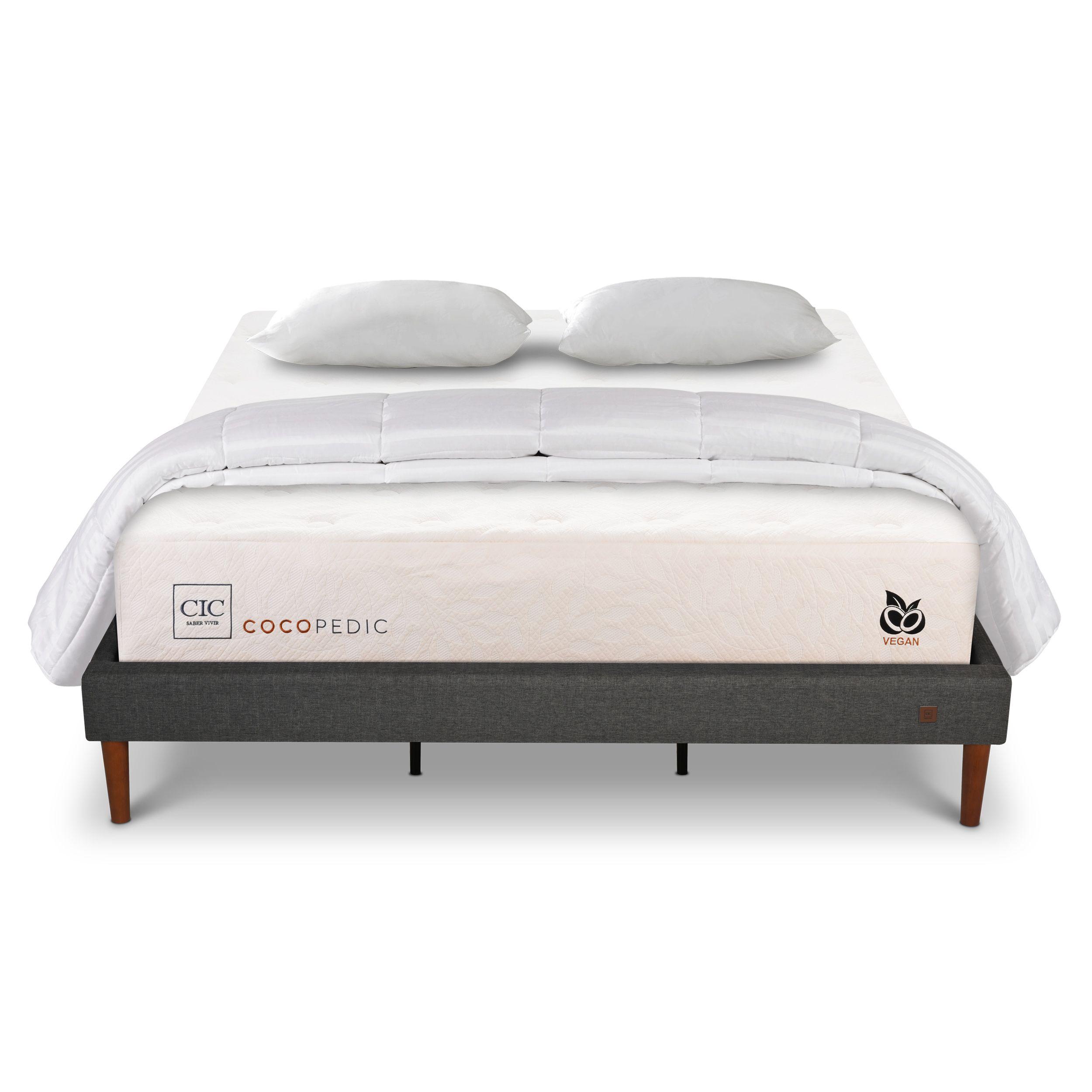 CAMA EUROPEA CURVE COCOPEDIC KING ALM V+PL-0
