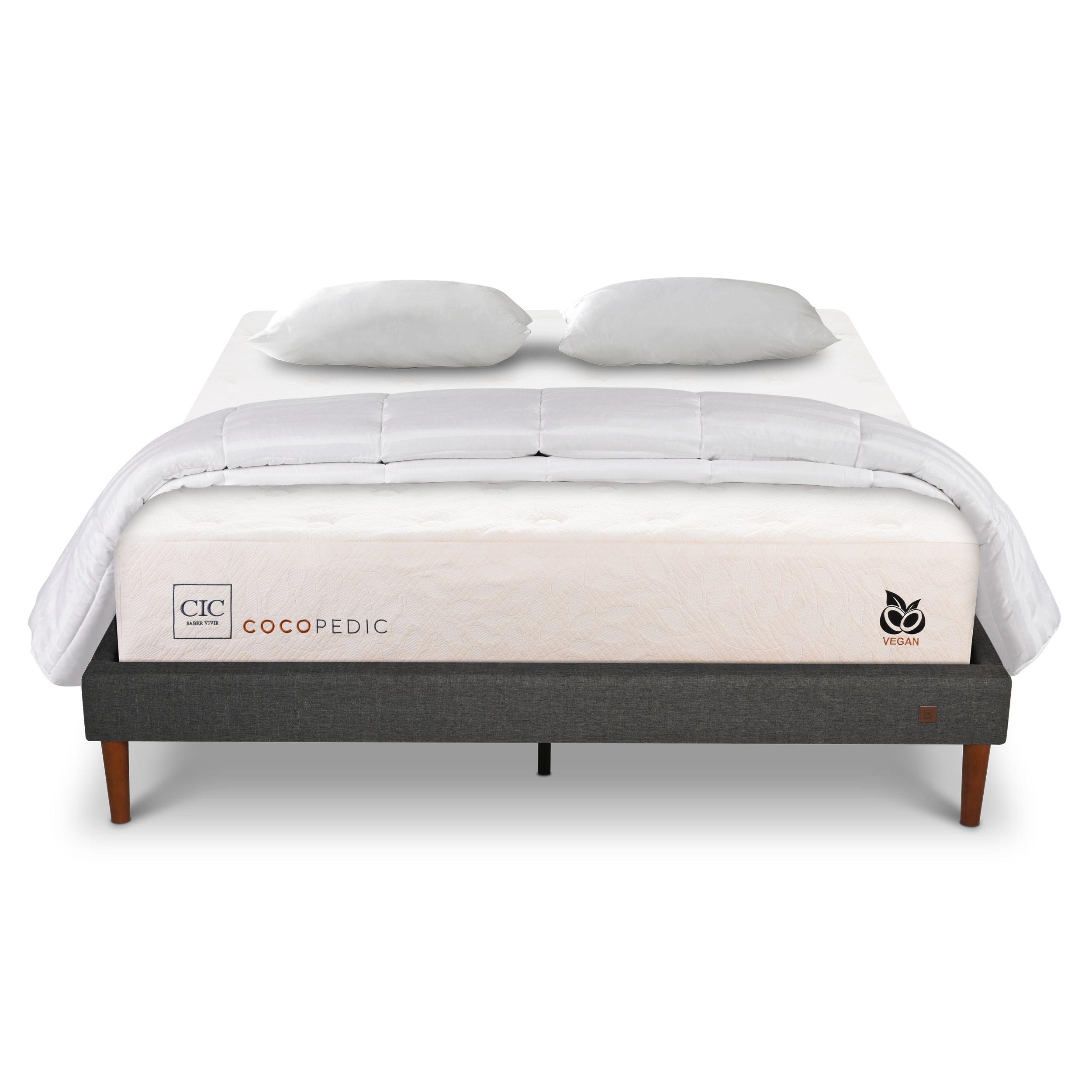 CAMA EUROPEA CURVE COCOPEDIC 2P BD ALM V+PL-0