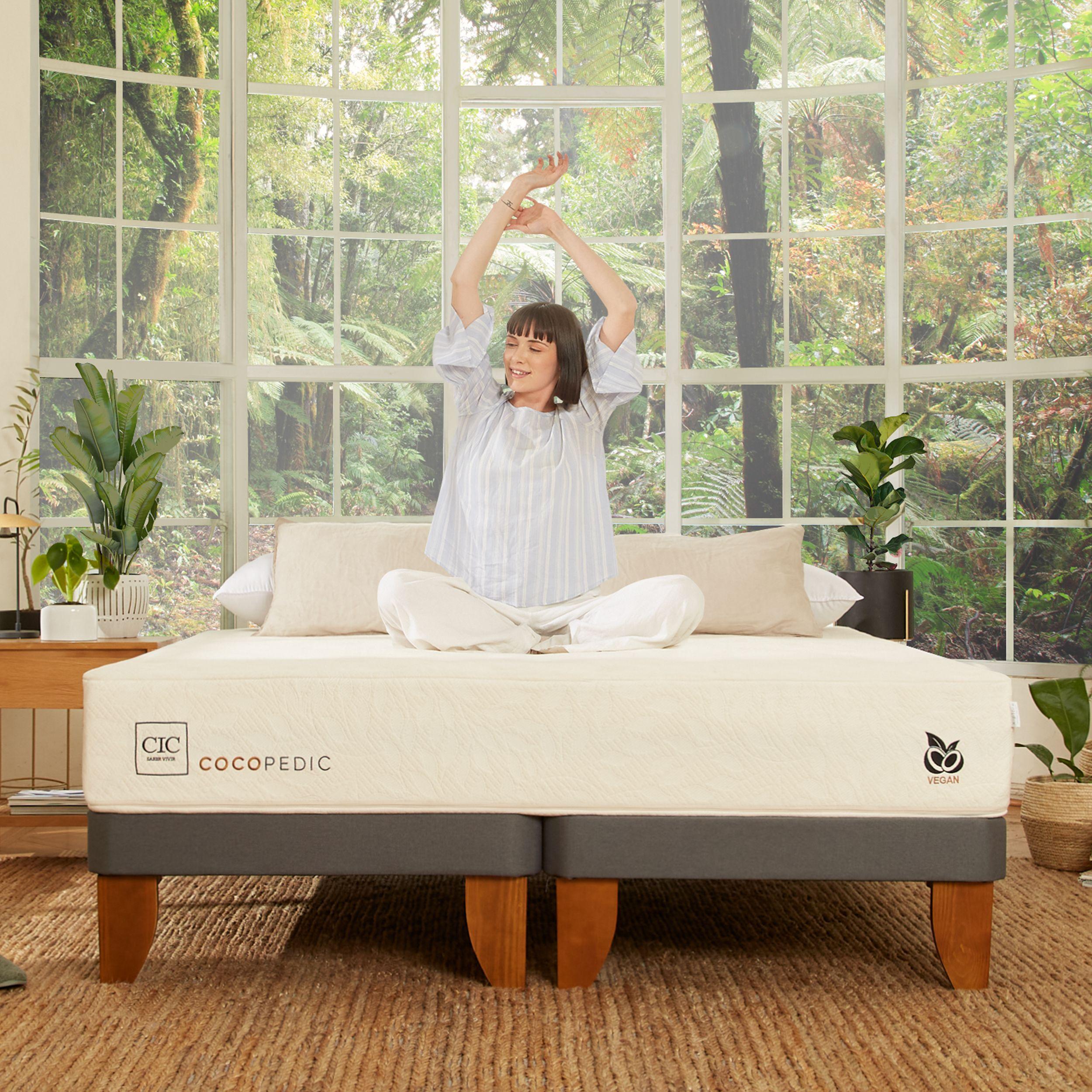 CAMA EUROPEA COCOPEDIC 2P BD NEW TORINO CHOC S/T-7