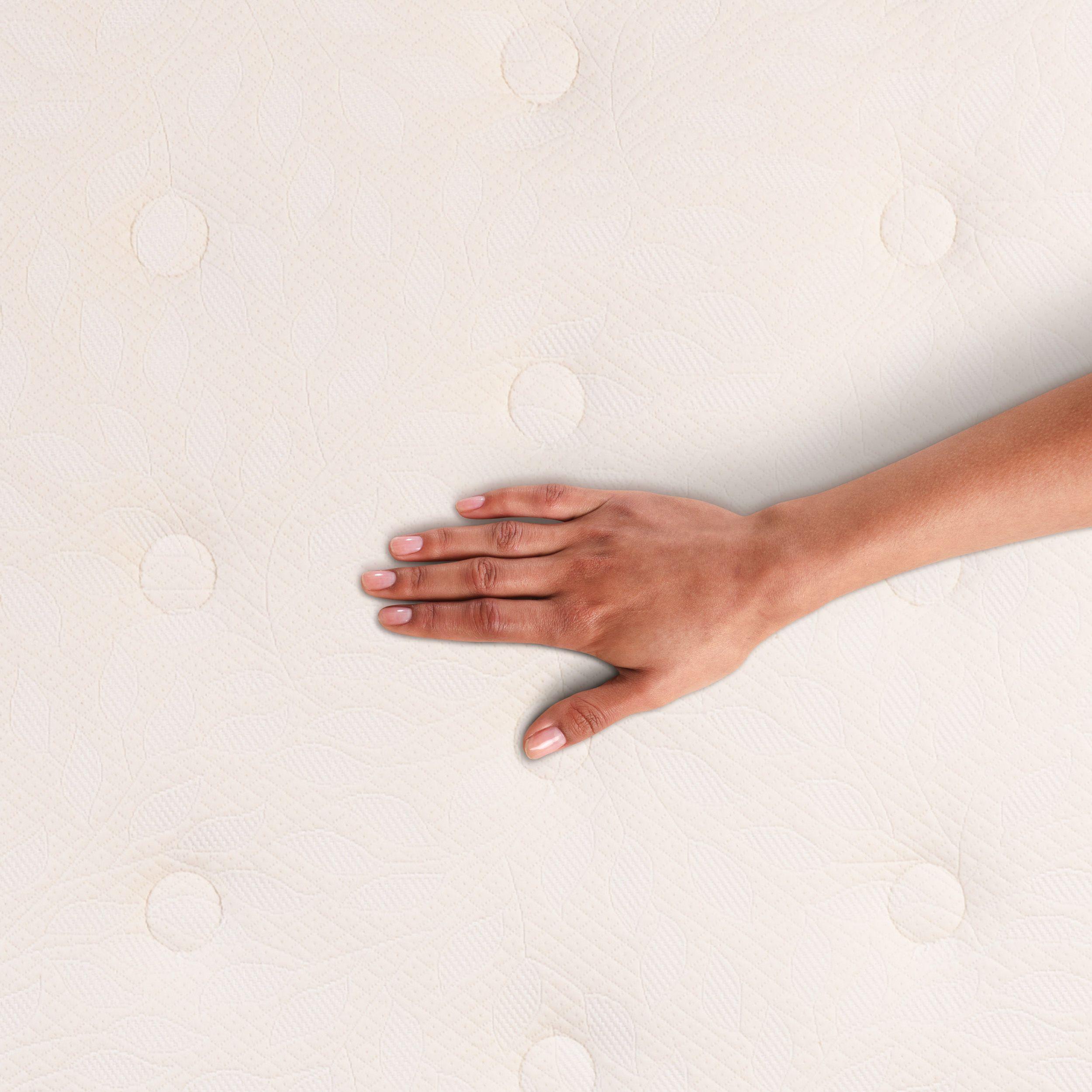 CAMA EUROPEA CURVE COCOPEDIC 2P BD NEW TORINO CHOC S/T-8