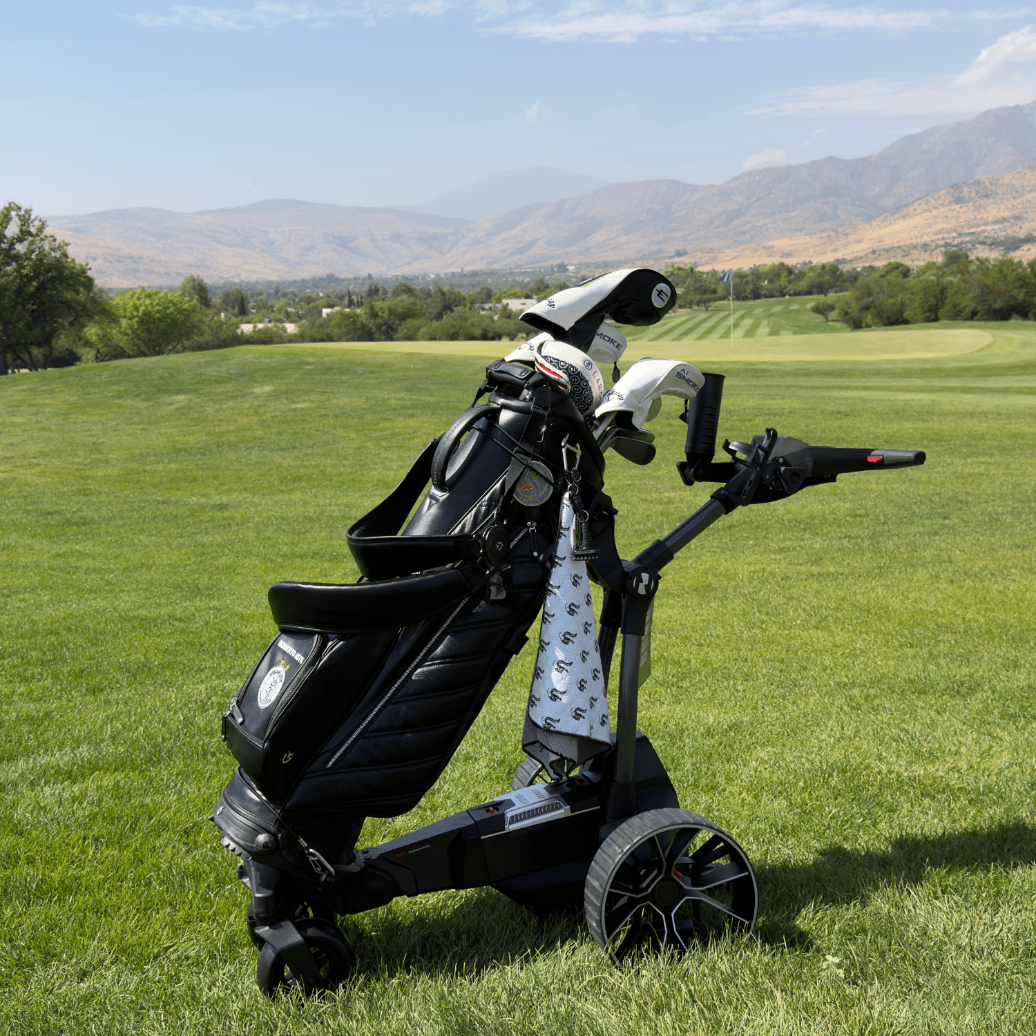 Carrito de Golf Eléctrico Navee Birdie 3X Negro-6