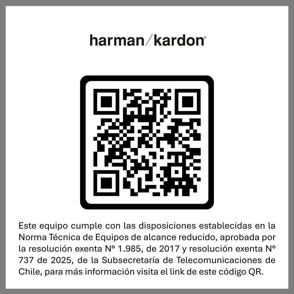 Parlante Inalambrico Harman Kardon GO + PLAY 3 Gris-7
