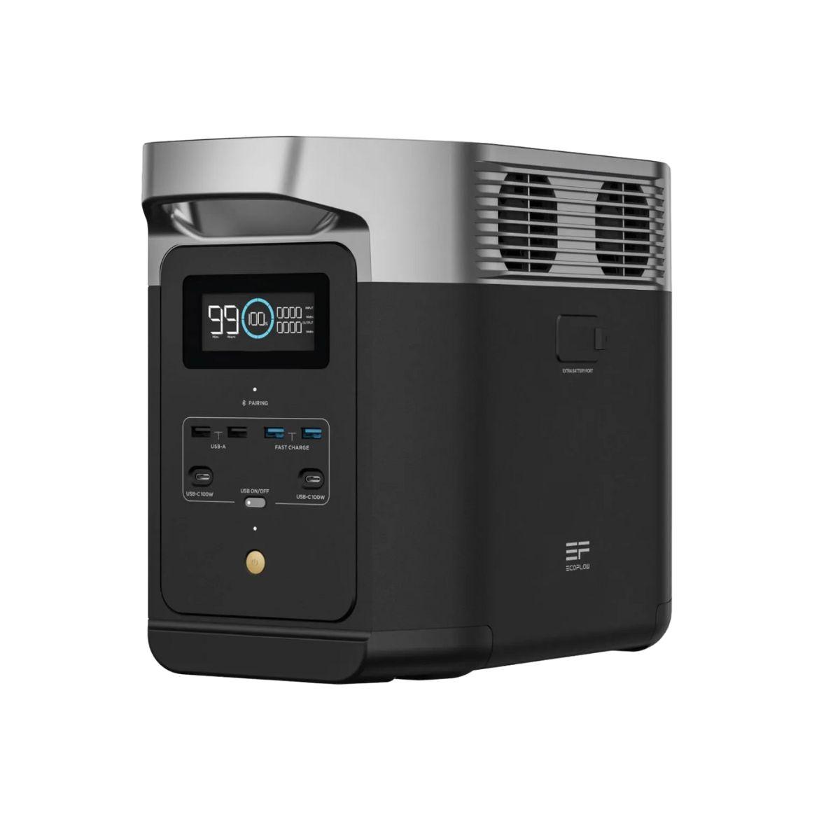 EcoFlow Delta 2 + Panel 220W-2