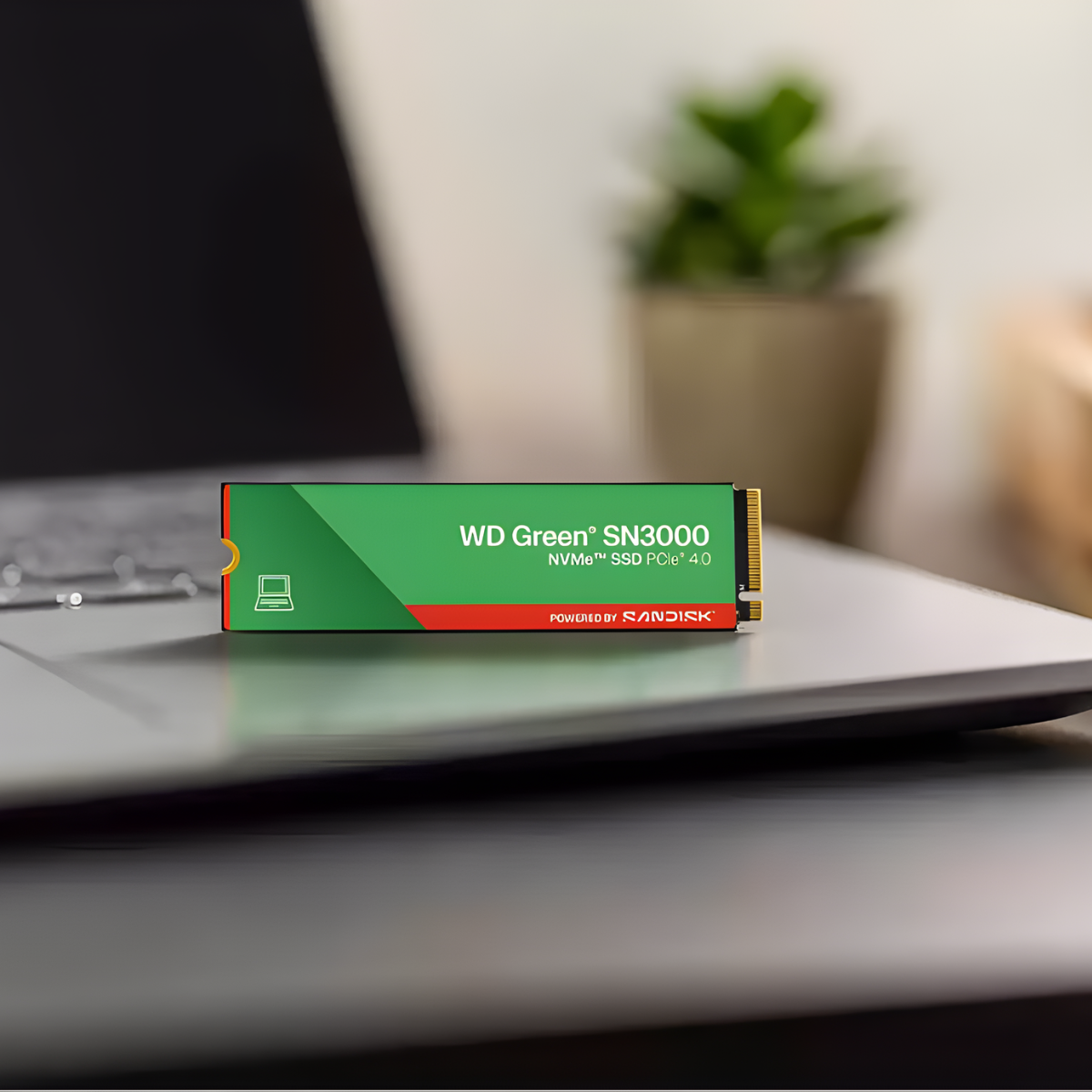 Disco Duro Interno SSD Western Digital Green SN3000 1TB NVMe M.2 2280 PCIe 4.0 x4-2