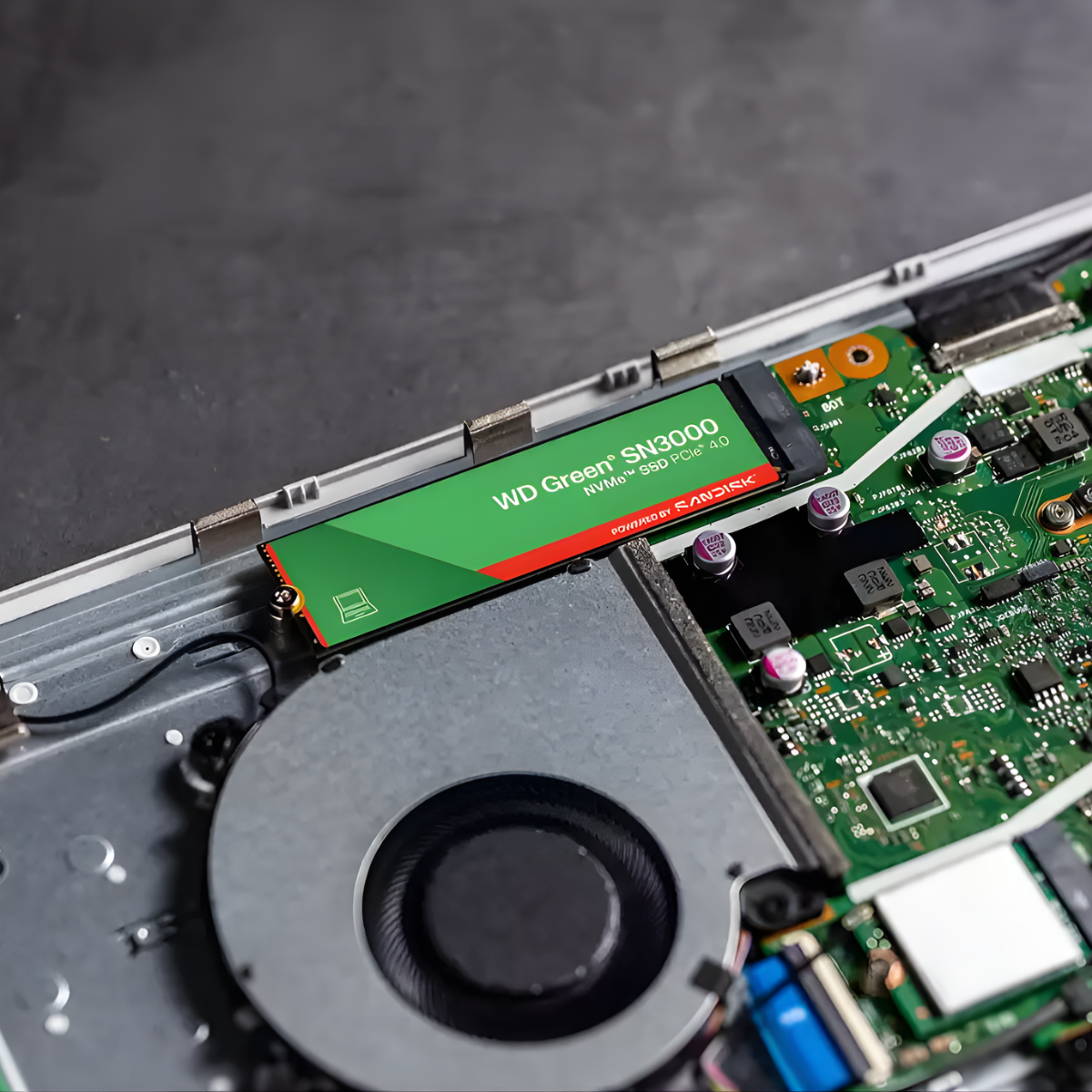 Disco Duro Interno SSD Western Digital Green SN3000 1TB NVMe M.2 2280 PCIe 4.0 x4-3