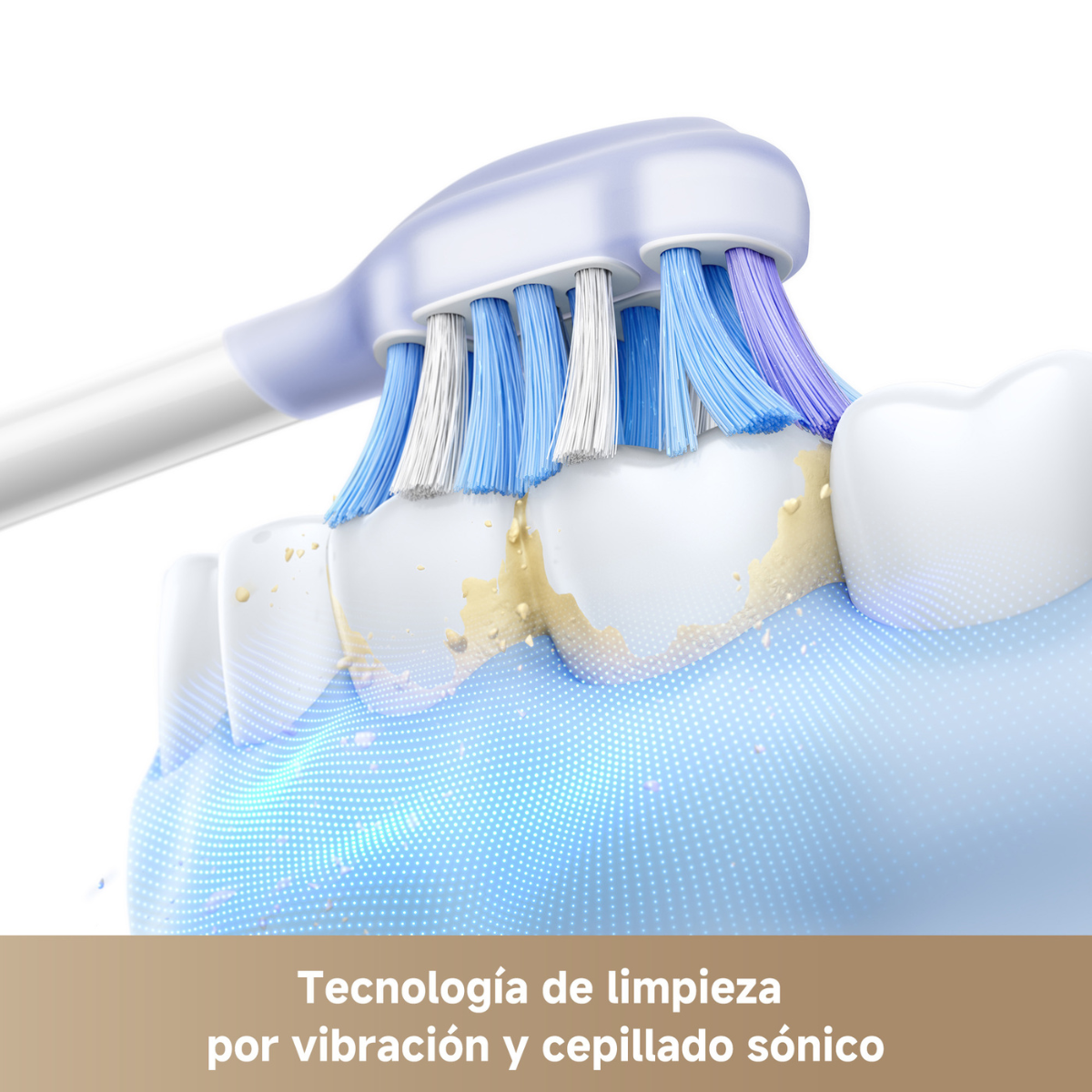 Cepillo Dental Inteligente con Sensor Fresh 20 Sensus-2