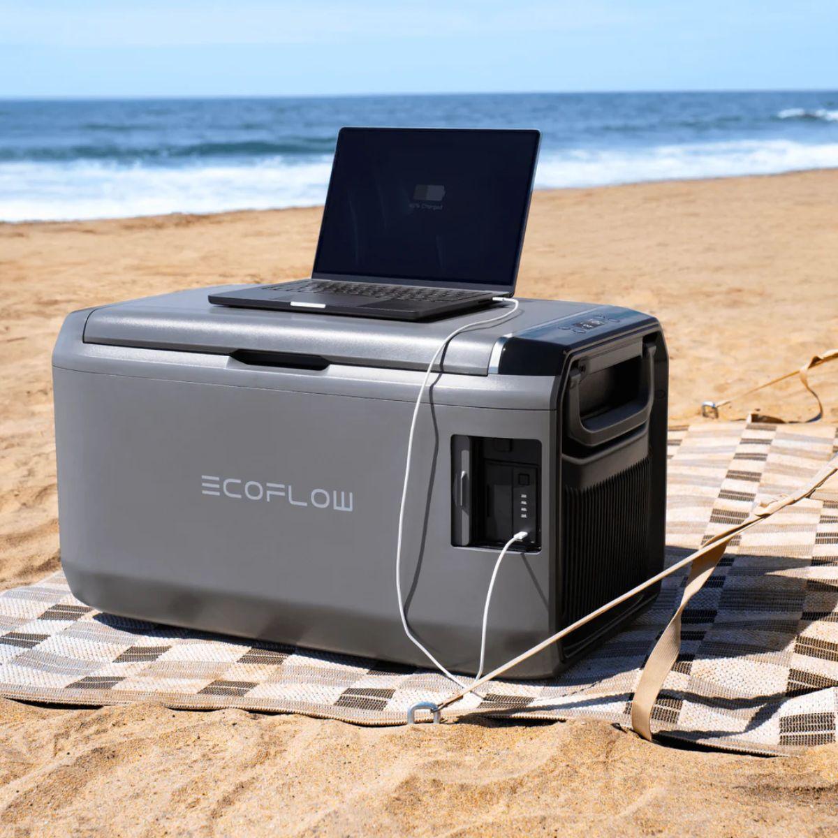 Cooler Portable EcoFlow Glacier Classic 55L-4