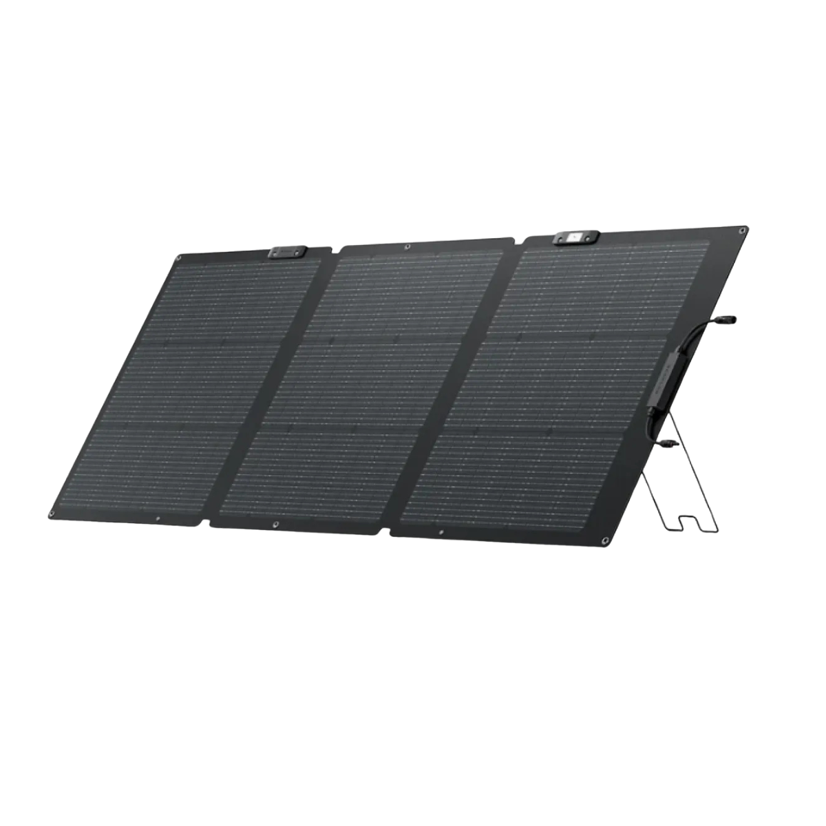 EcoFlow Delta 2 + Panel 160W-2