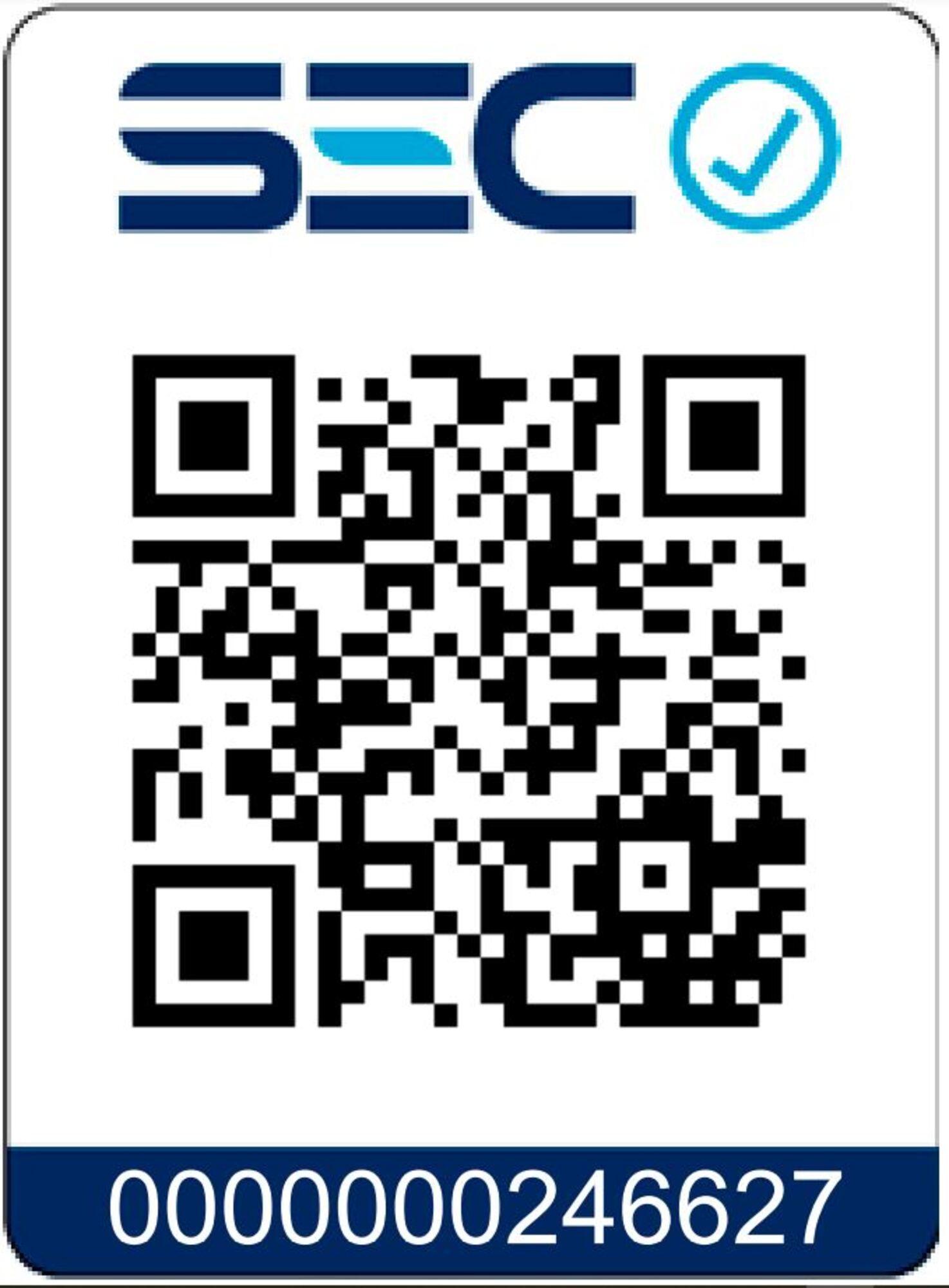 Calefactor Oleoeléctrico EEO-2200DNG Heat Digital-6