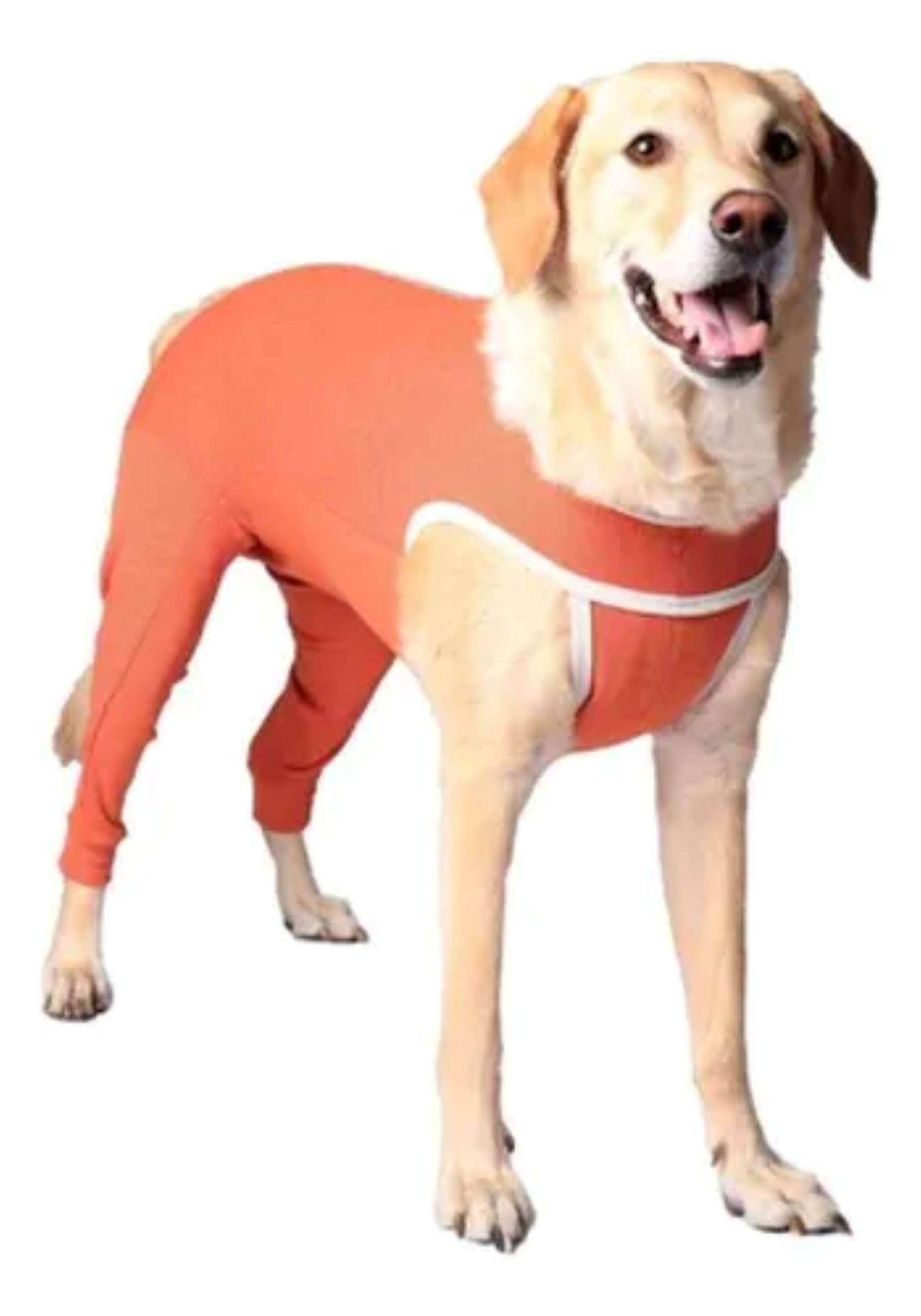 Body Cobre Kimba Posterior Post-operatorio T2, T3, T4-1