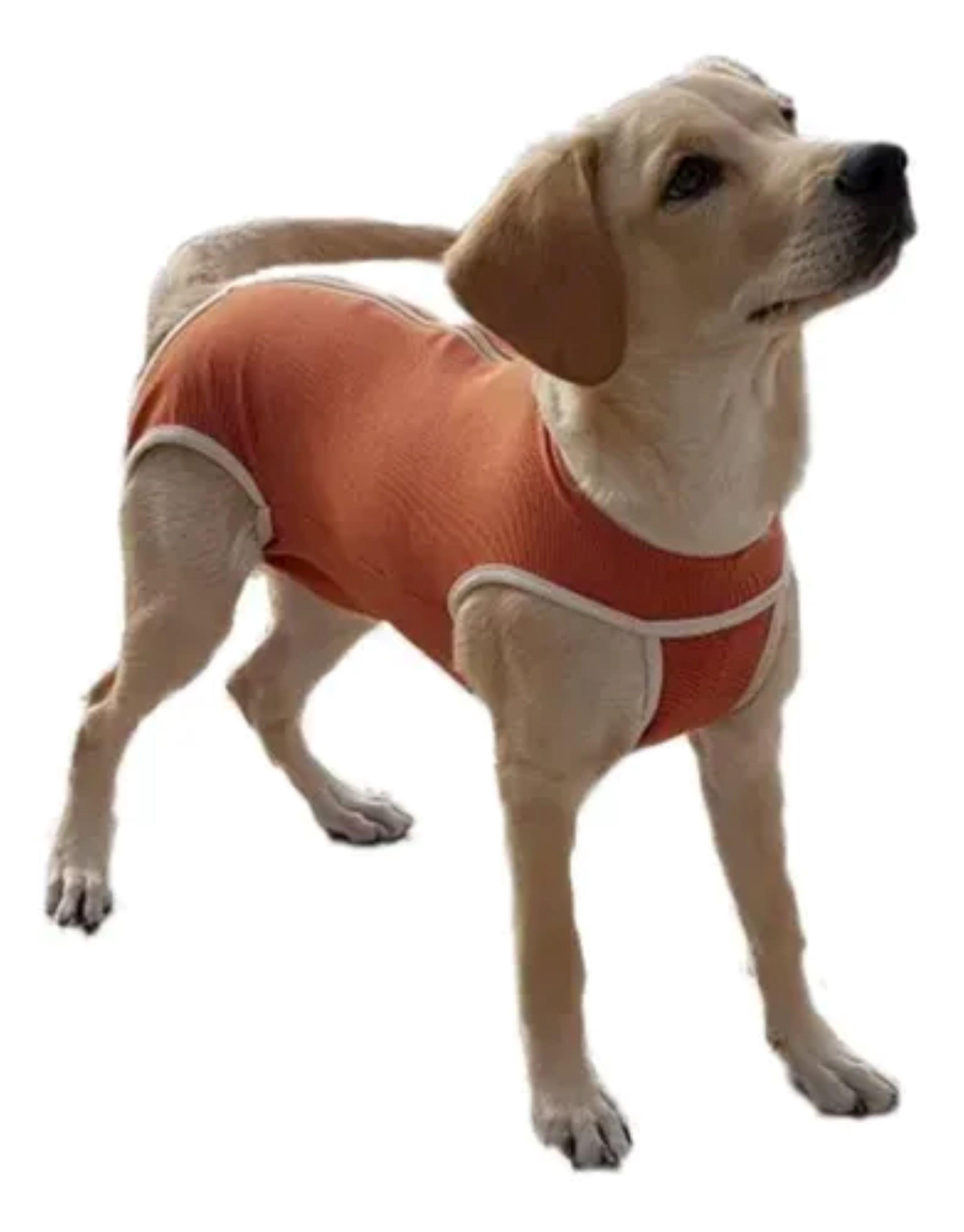 Body Cobre Original Para Perros Y Gatos T00, T0, T1-0