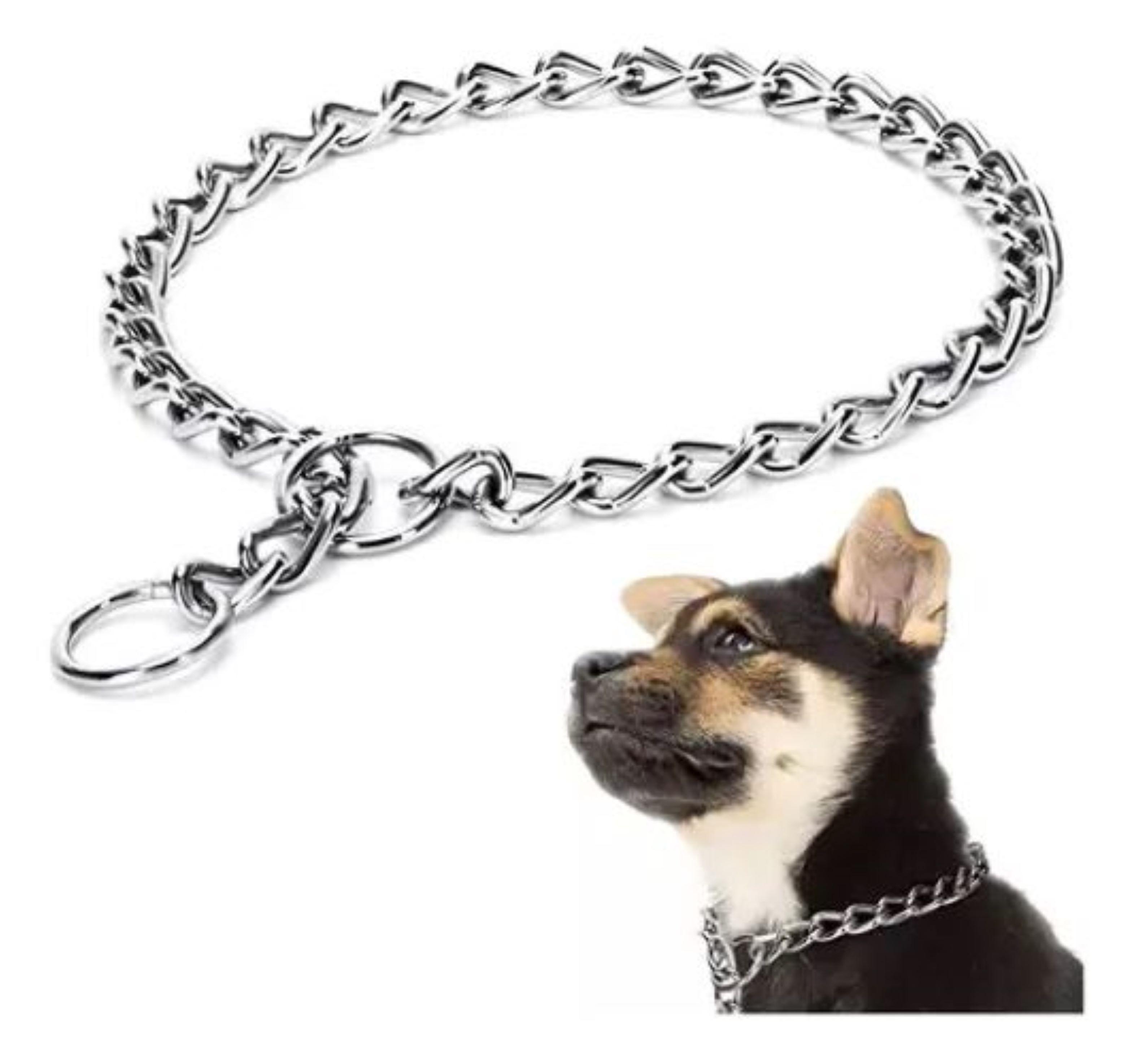 Collar De Adiestramiento Canino Color Cromo Tama o 60cm-1
