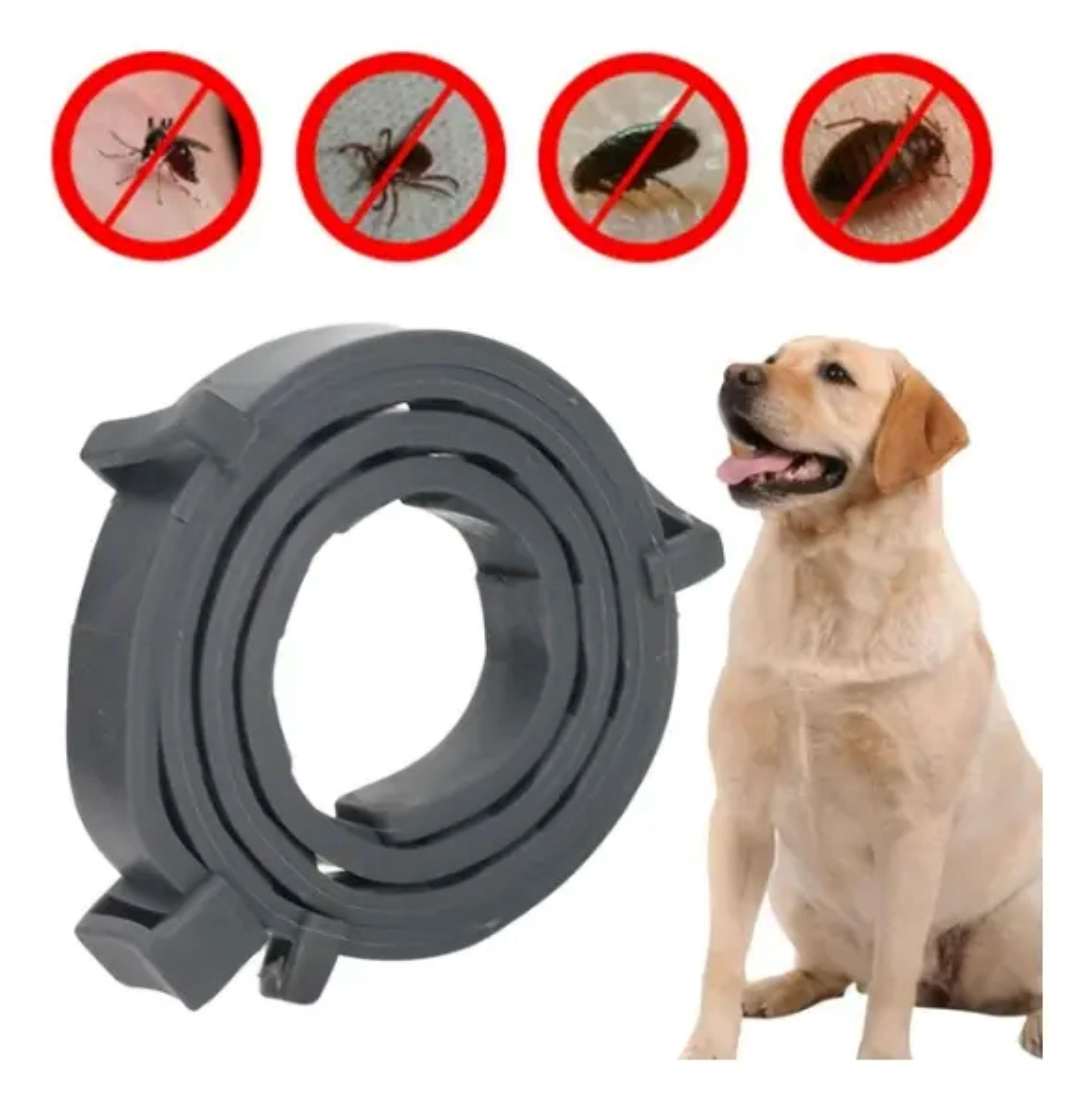 Collar Anti Pulgas Y Garrapatas Para Perros Y Gatos 40cm-2