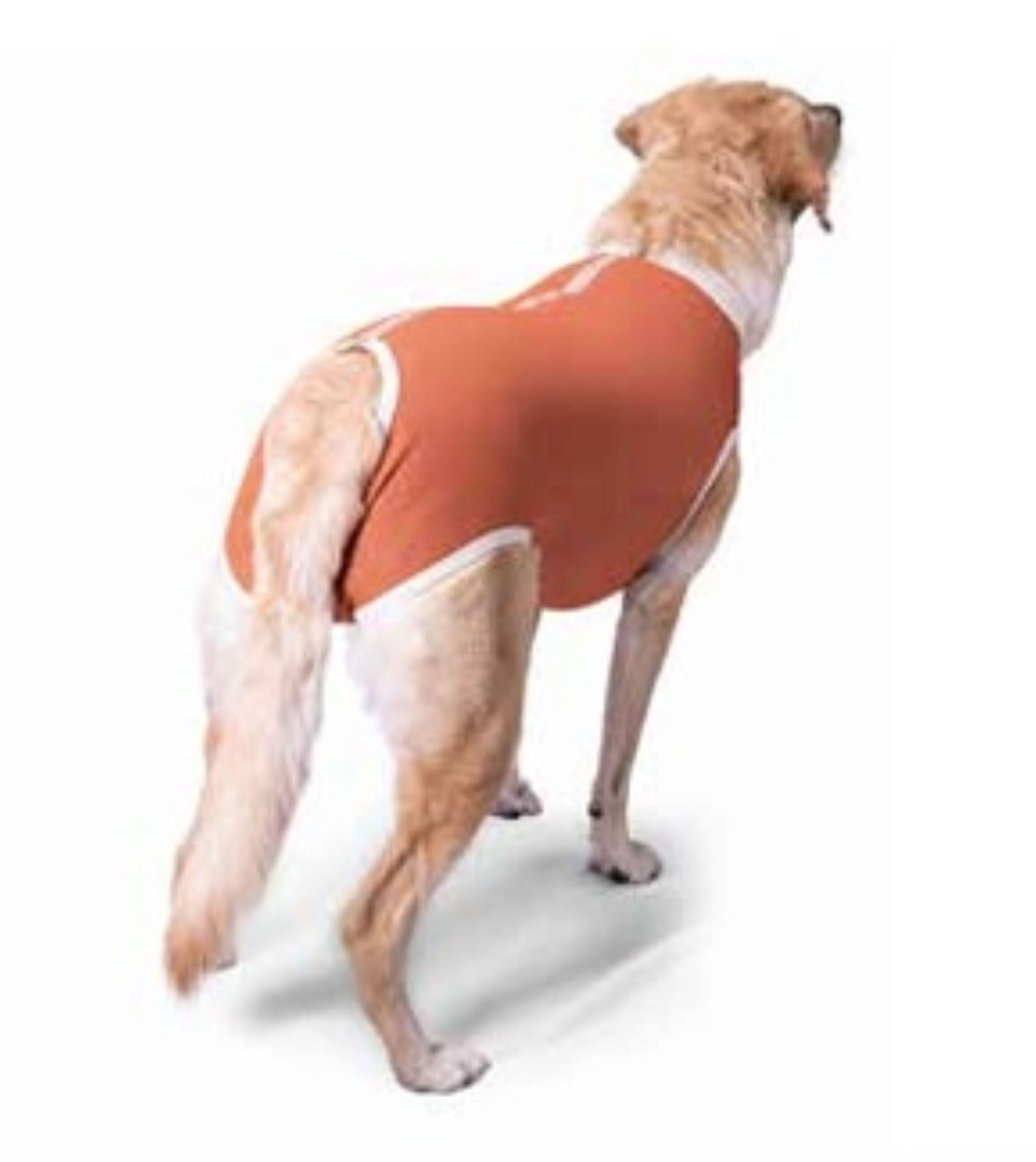 Body Cobre Kimba Castración Perros Machos T2, T3, T4-1