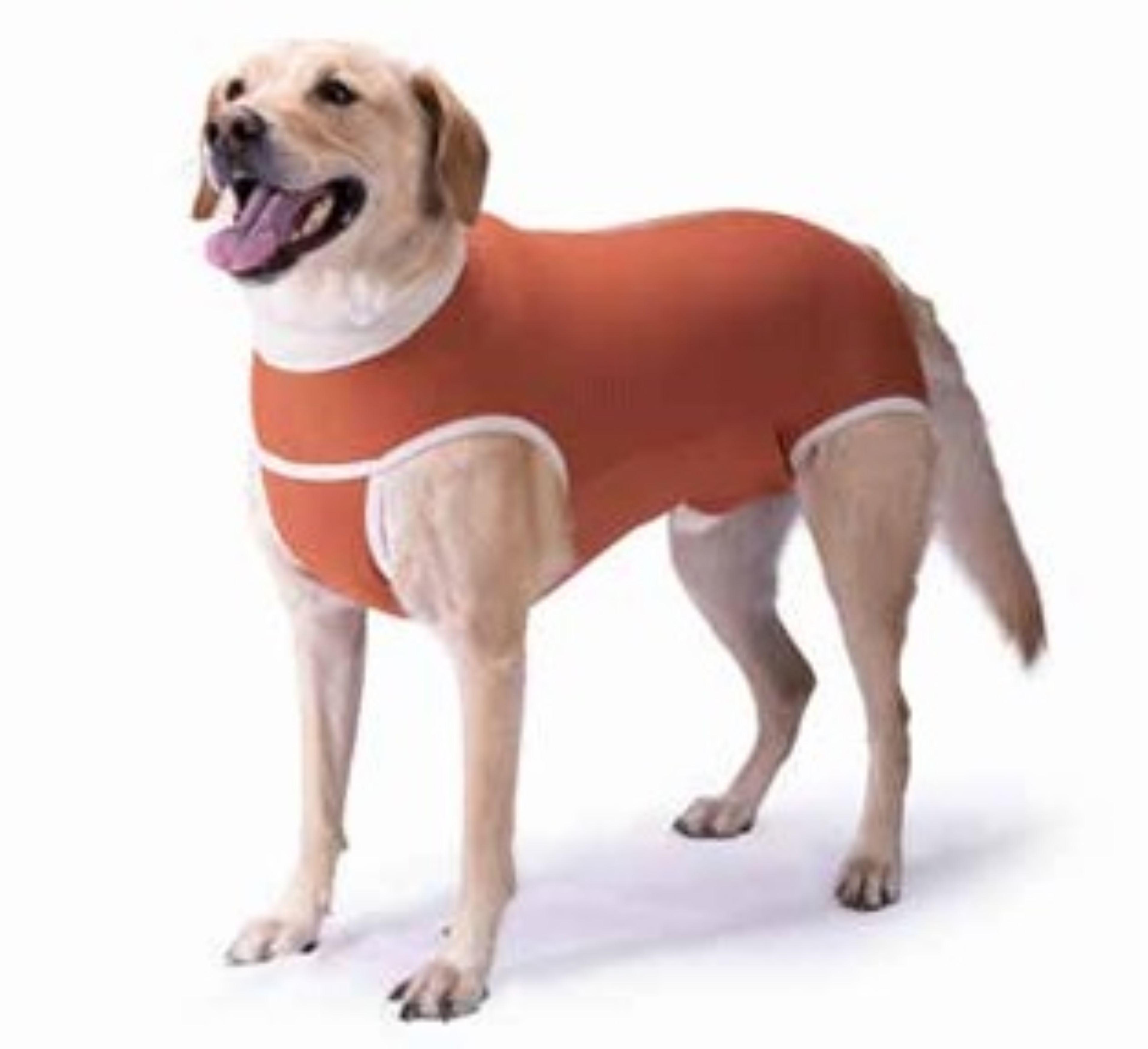 Body Cobre Kimba Castración Perros Machos T2, T3, T4-2