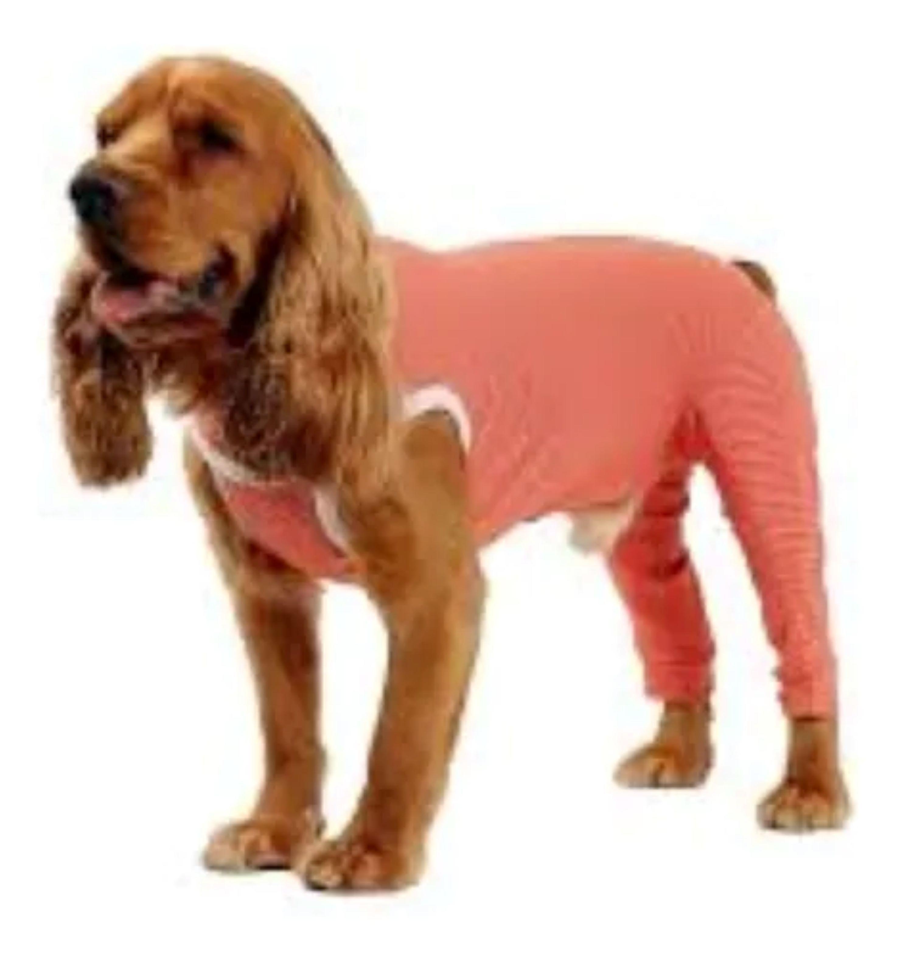 Body Cobre Kimba Posterior Post-operatorio T00 (0 a 1.5 kg)-0