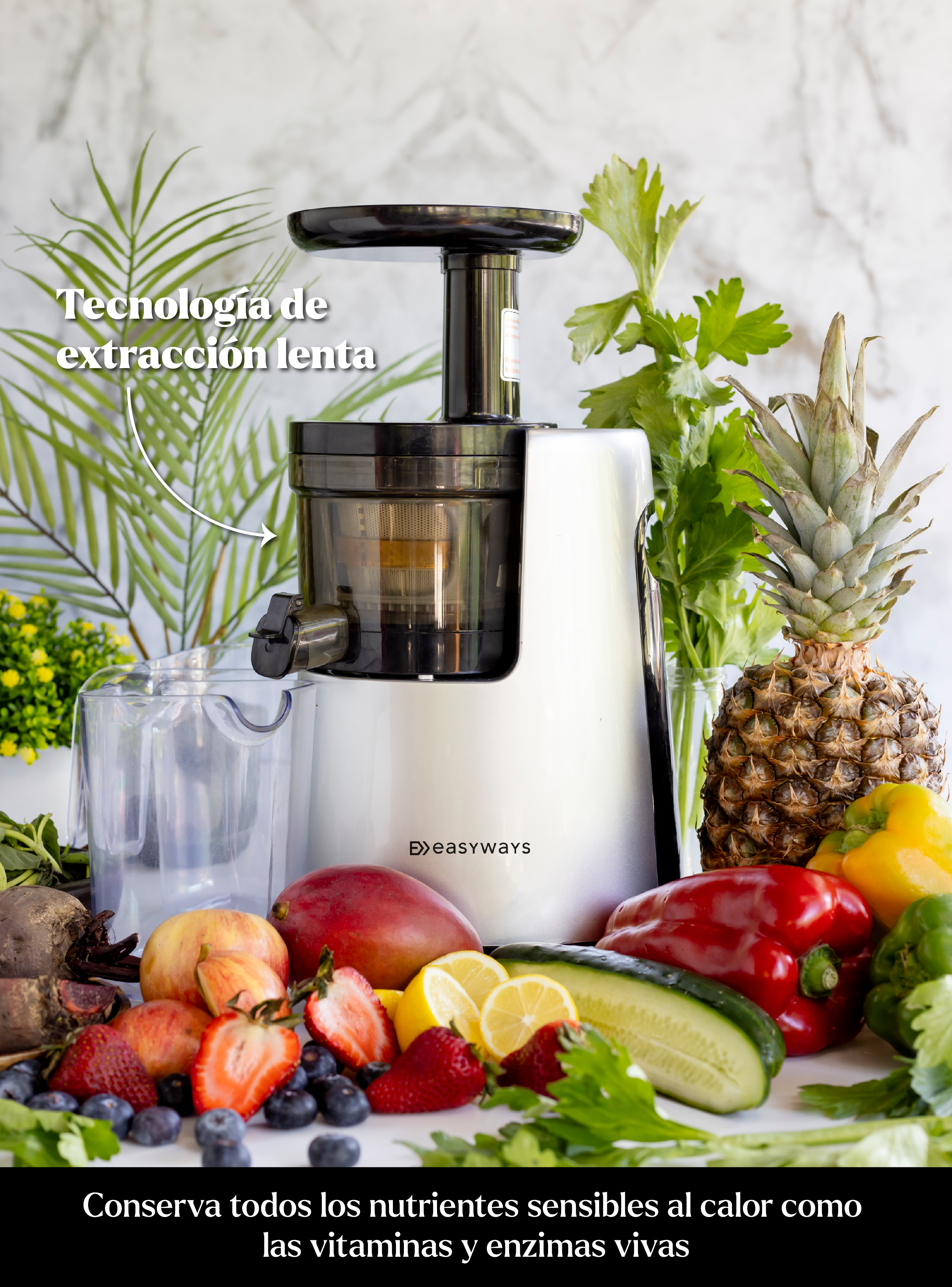 Prensadora De Jugo En Frío Slow Juicer Pro Easyways-2