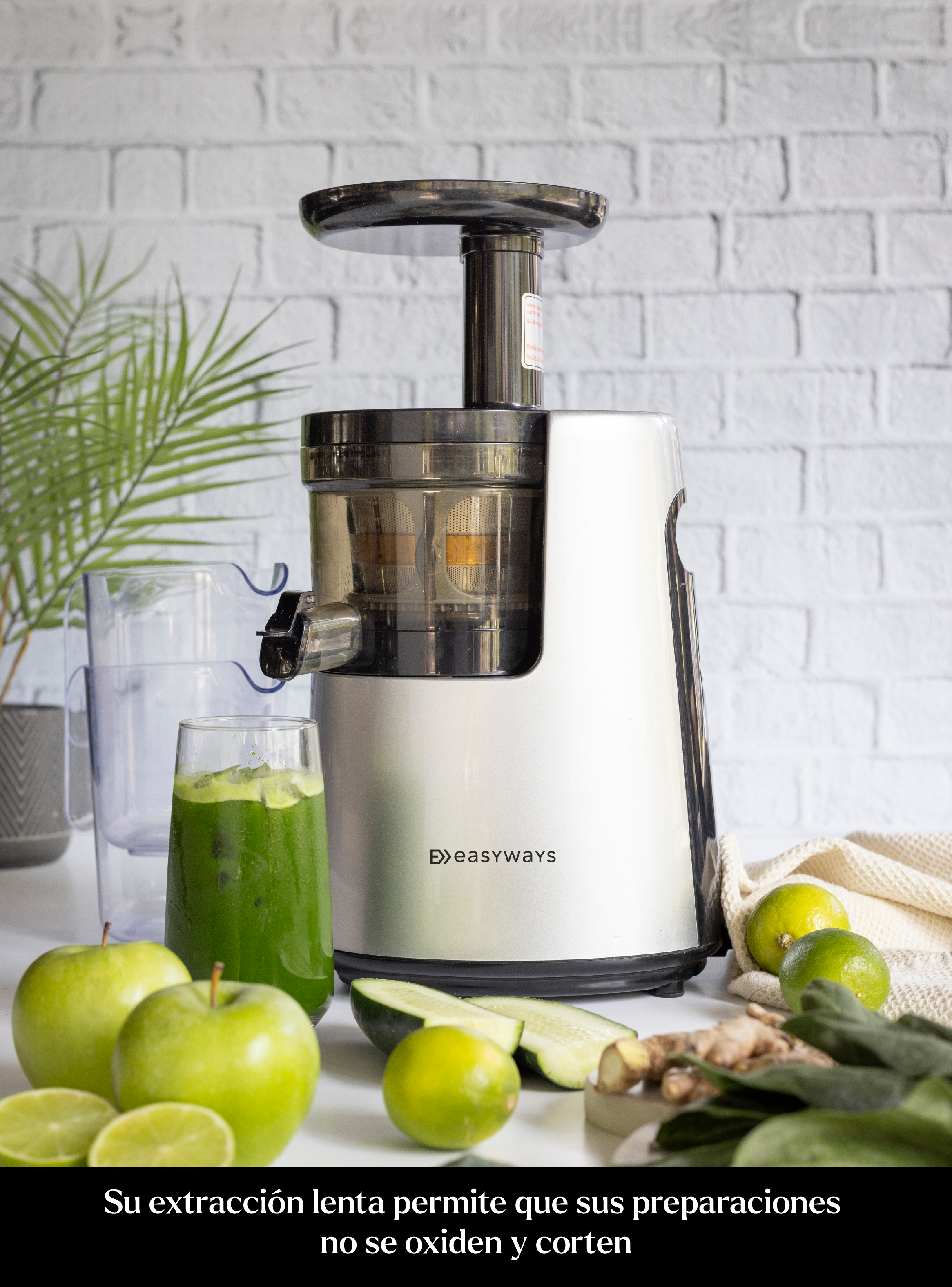 Prensadora De Jugo En Frío Slow Juicer Pro Easyways-6