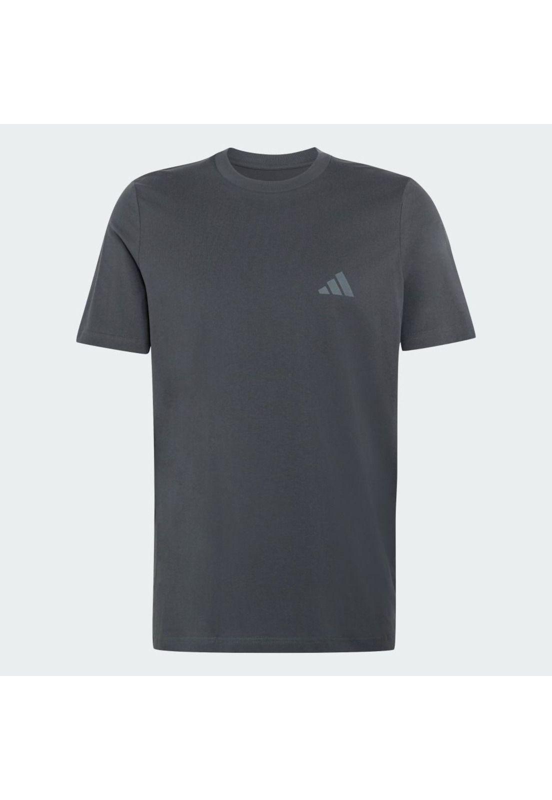 Polera adidas Hombre Graphic Terrex Mountain-1