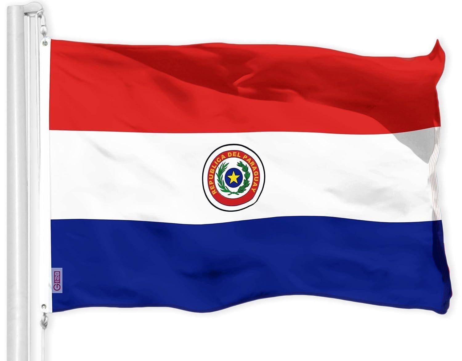 Bandera Paraguay 60x90 CM Estampada ojales metálicos-4